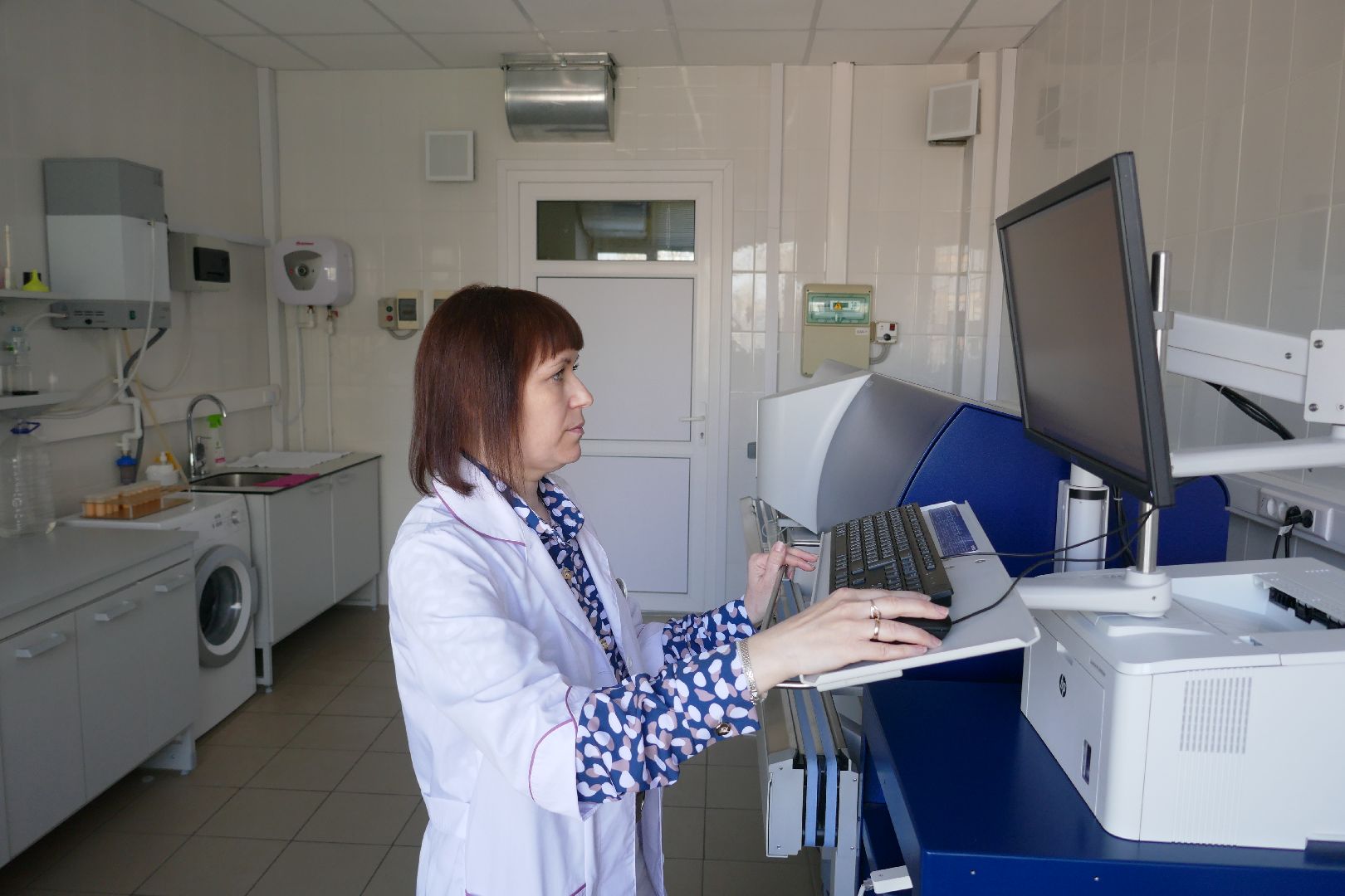 Подольск, молоко, наука, ученые, коровы