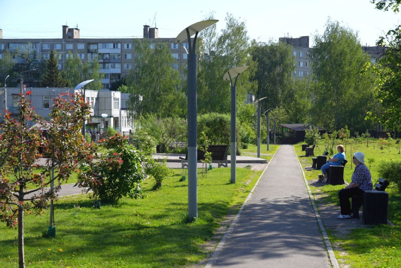 озеленение , летний душ, полив , коммунальные службы , поливомоечные машины , сергиев посад , сергиево-посадский городской округ,