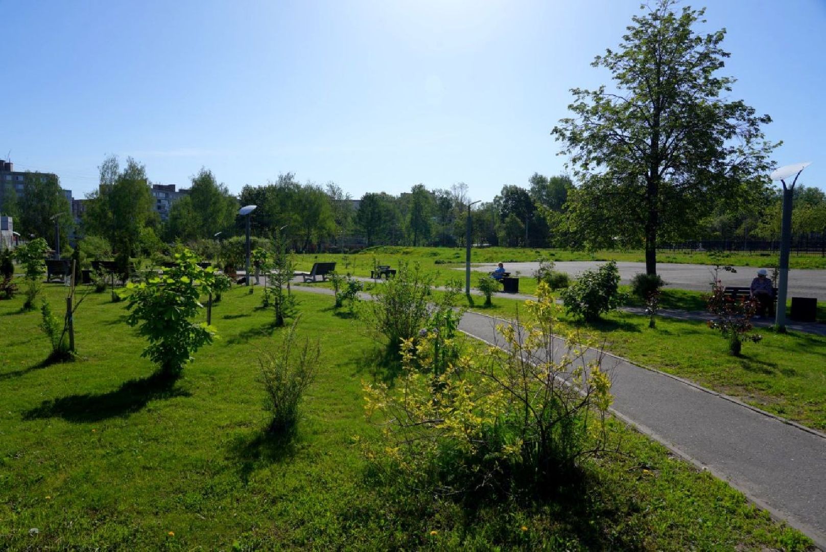 озеленение , летний душ, полив , коммунальные службы , поливомоечные машины , сергиев посад , сергиево-посадский городской округ,