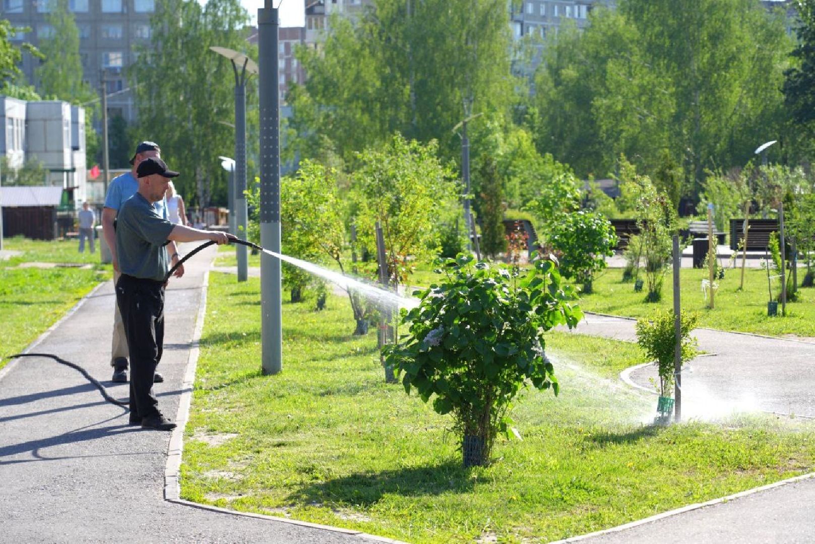 озеленение , летний душ, полив , коммунальные службы , поливомоечные машины , сергиев посад , сергиево-посадский городской округ,