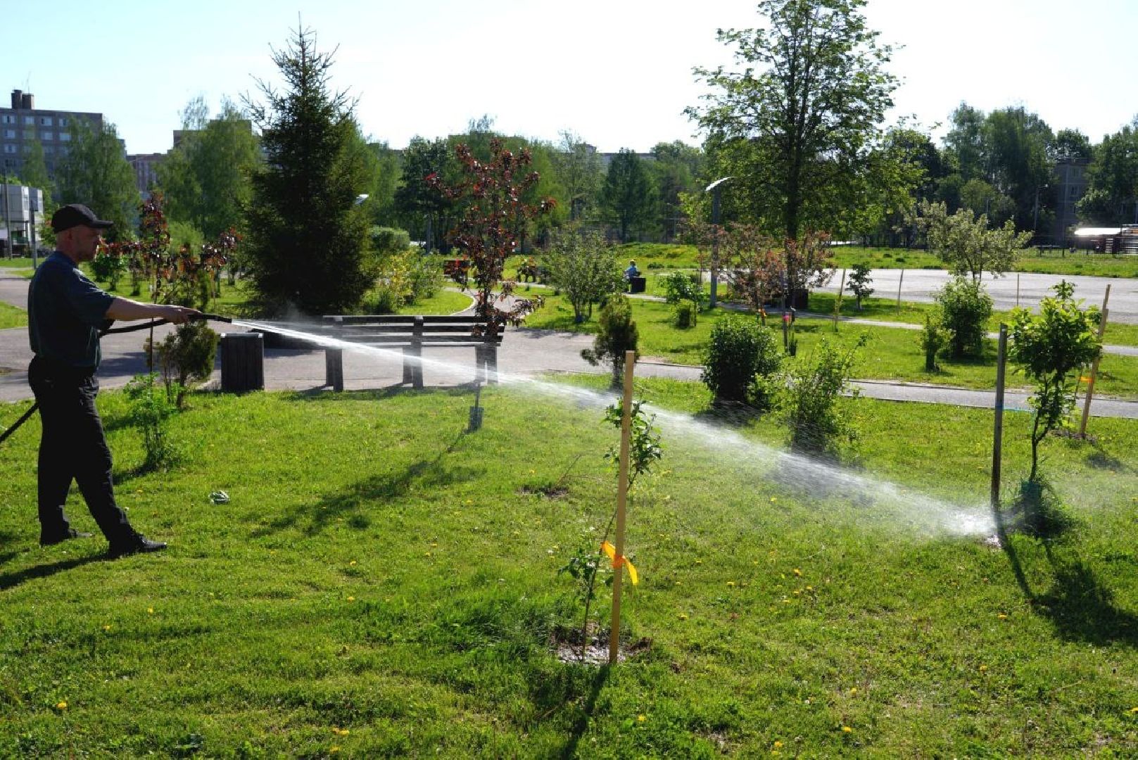 озеленение , летний душ, полив , коммунальные службы , поливомоечные машины , сергиев посад , сергиево-посадский городской округ,