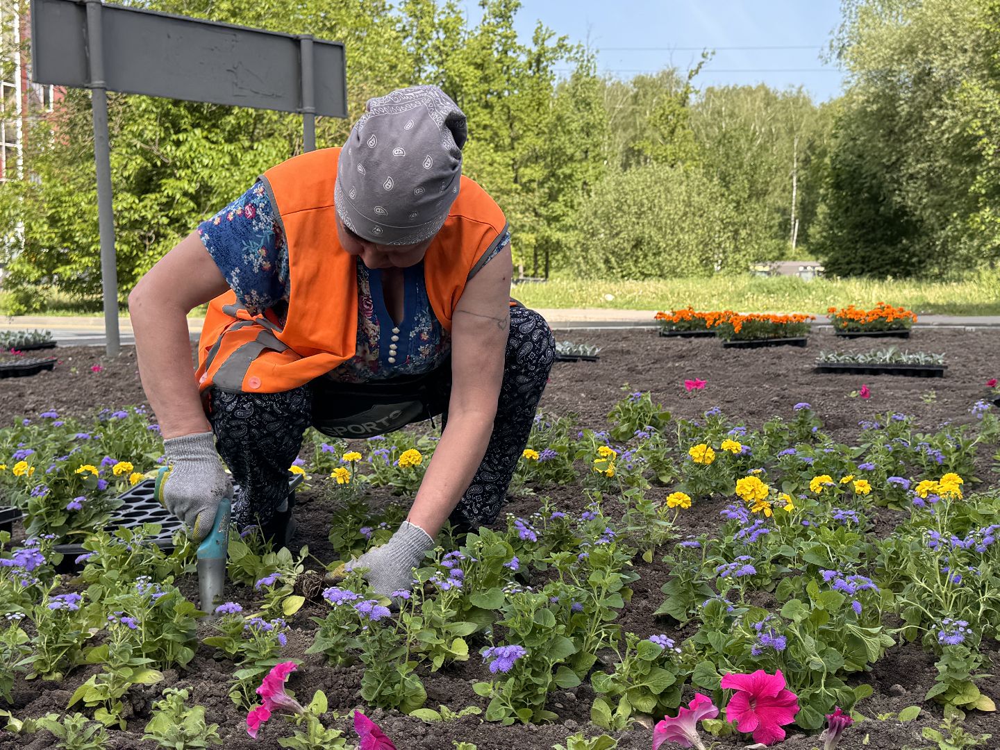 Озеленение Одинцова, Благоустройство Одинцова, Цветы в городе,