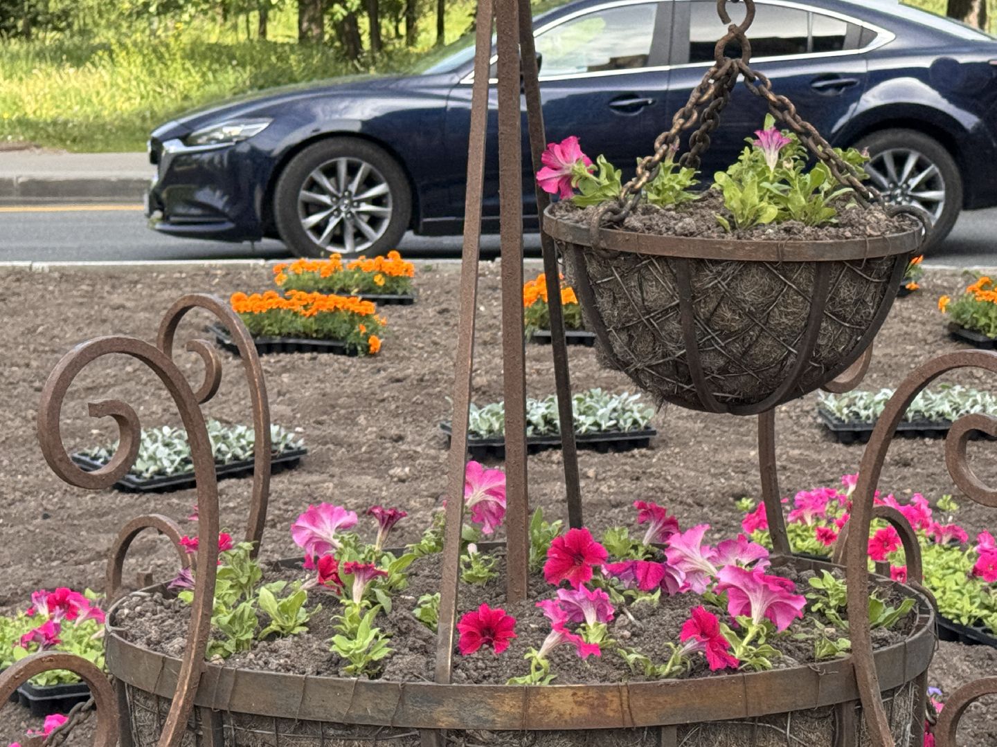 Озеленение Одинцова, Благоустройство Одинцова, Цветы в городе,