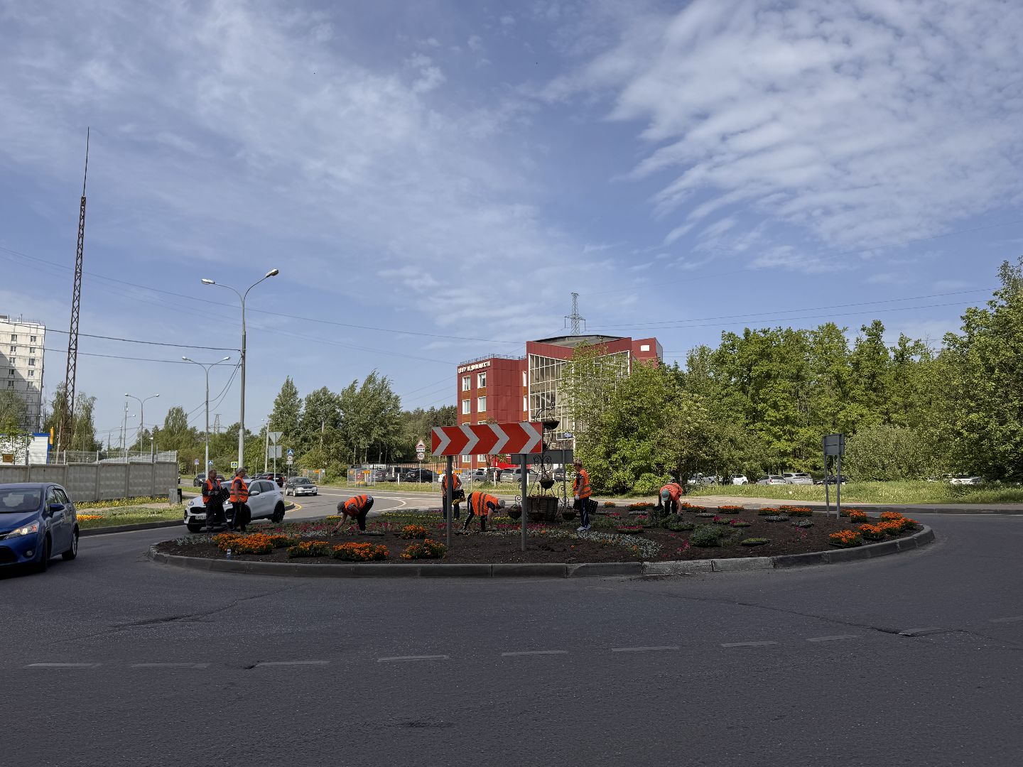 Озеленение Одинцова, Благоустройство Одинцова, Цветы в городе,