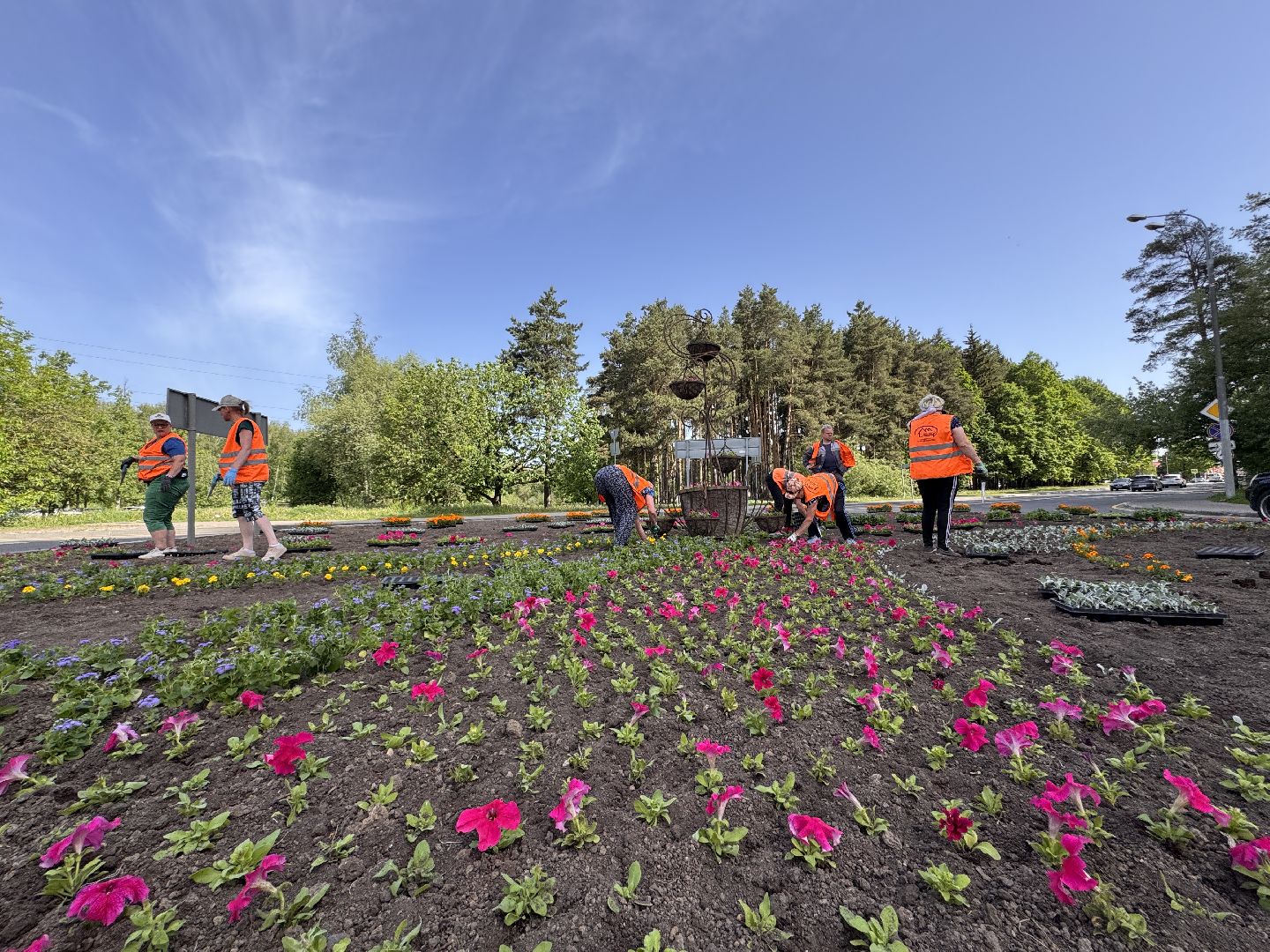 Озеленение Одинцова, Благоустройство Одинцова, Цветы в городе,