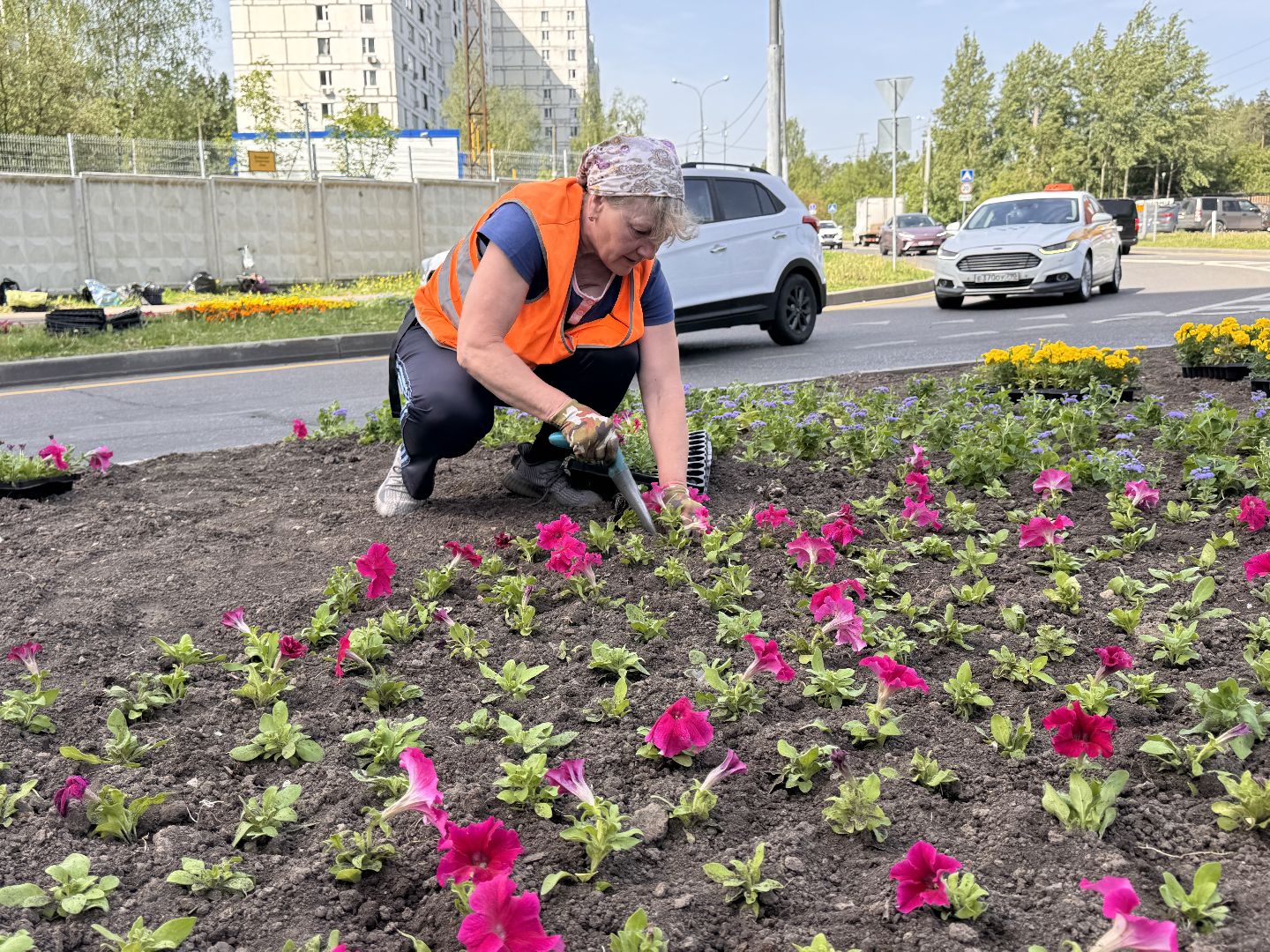 Озеленение Одинцова, Благоустройство Одинцова, Цветы в городе,