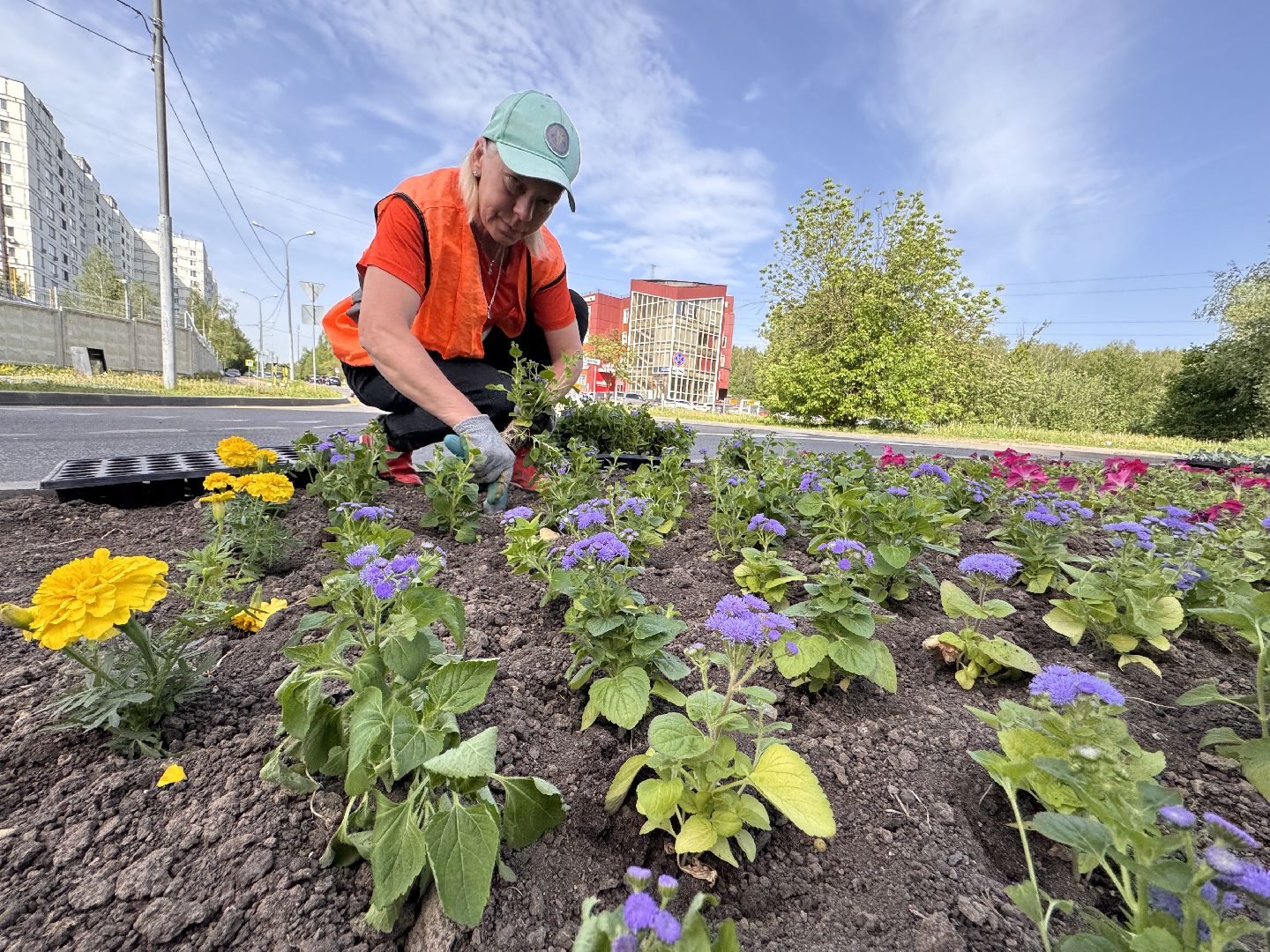 Озеленение Одинцова, Благоустройство Одинцова, Цветы в городе,