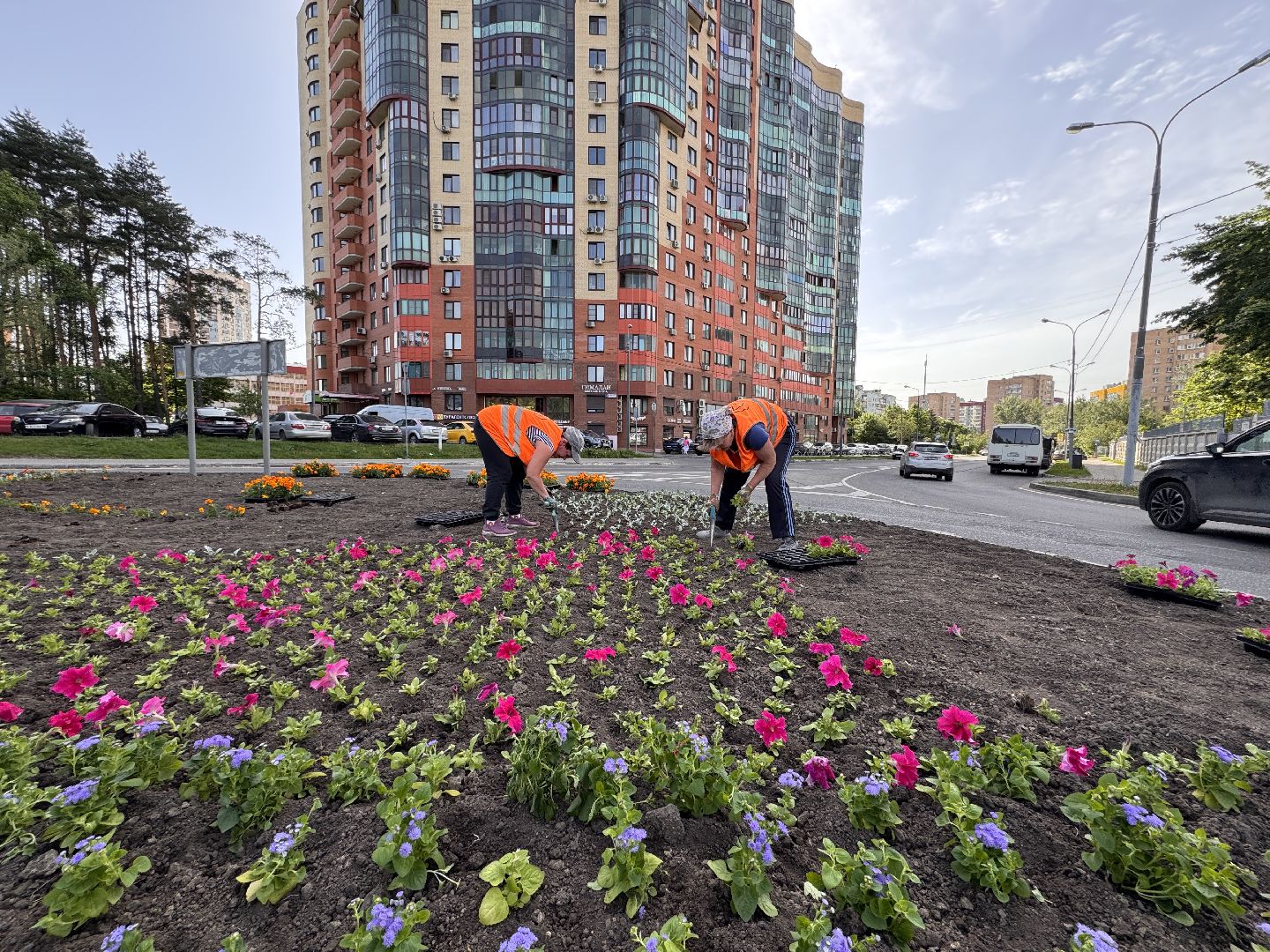 Озеленение Одинцова, Благоустройство Одинцова, Цветы в городе,