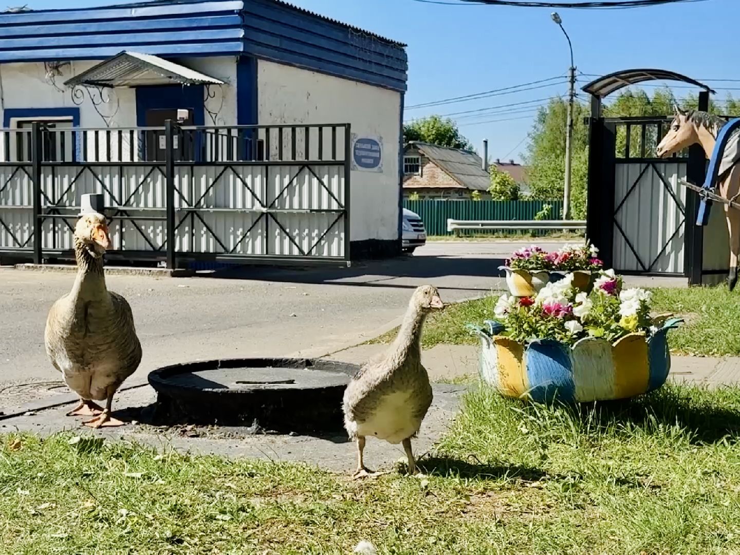 раменское, гжель, зоопарк, туризм,