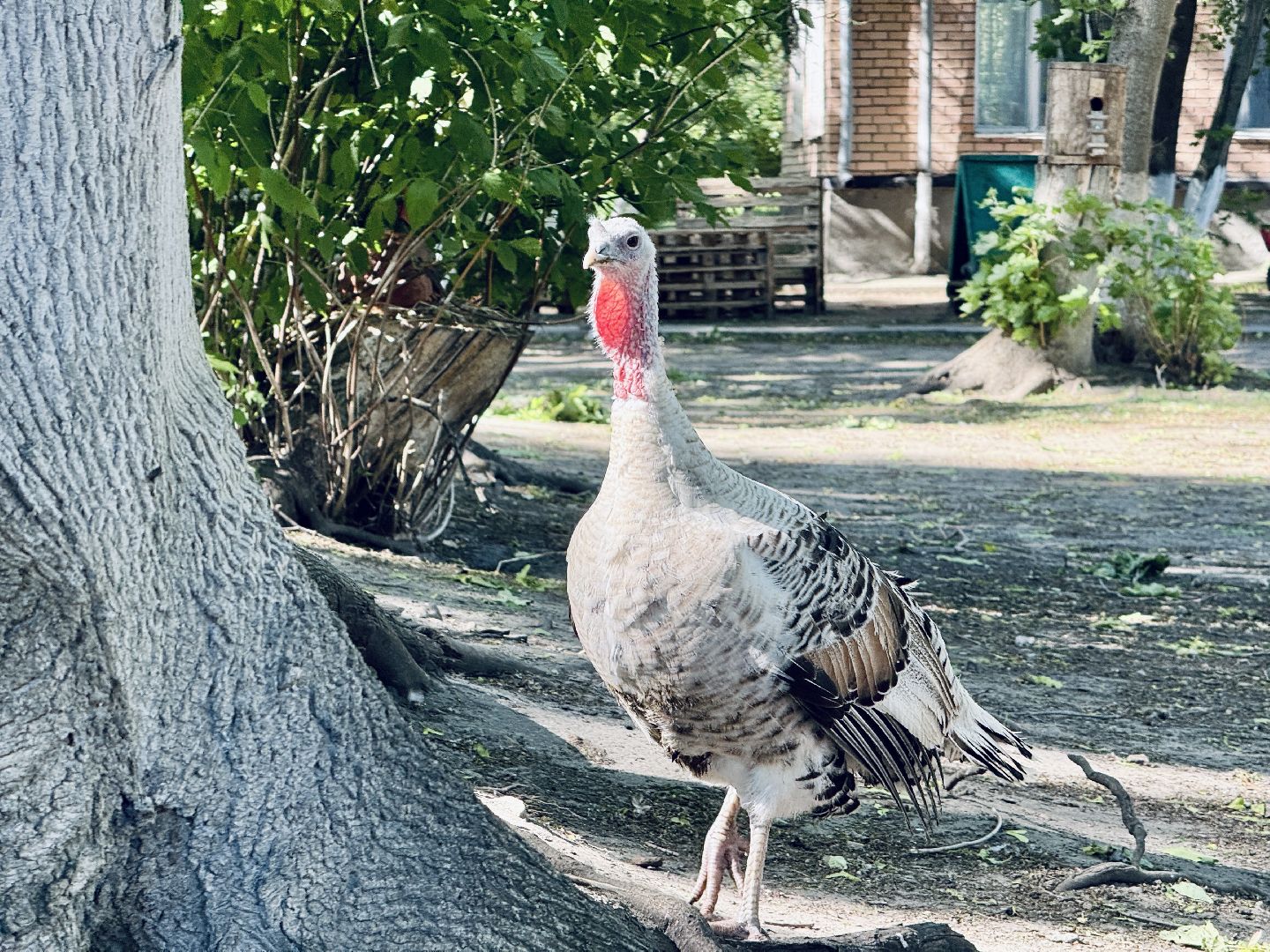 раменское, гжель, зоопарк, туризм,