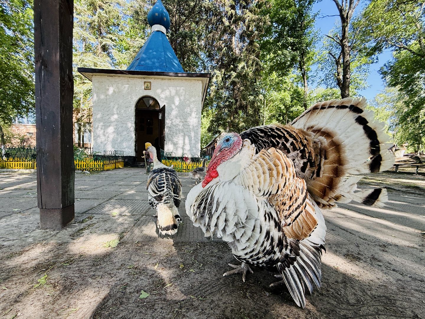 раменское, гжель, зоопарк, туризм,