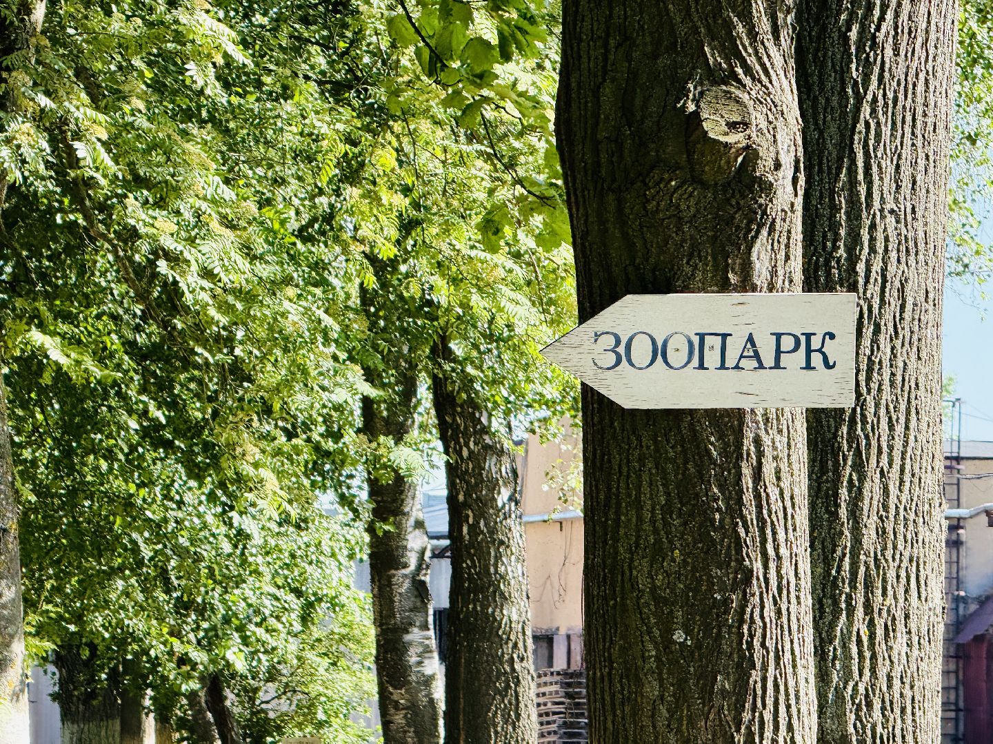 раменское, гжель, зоопарк, туризм,