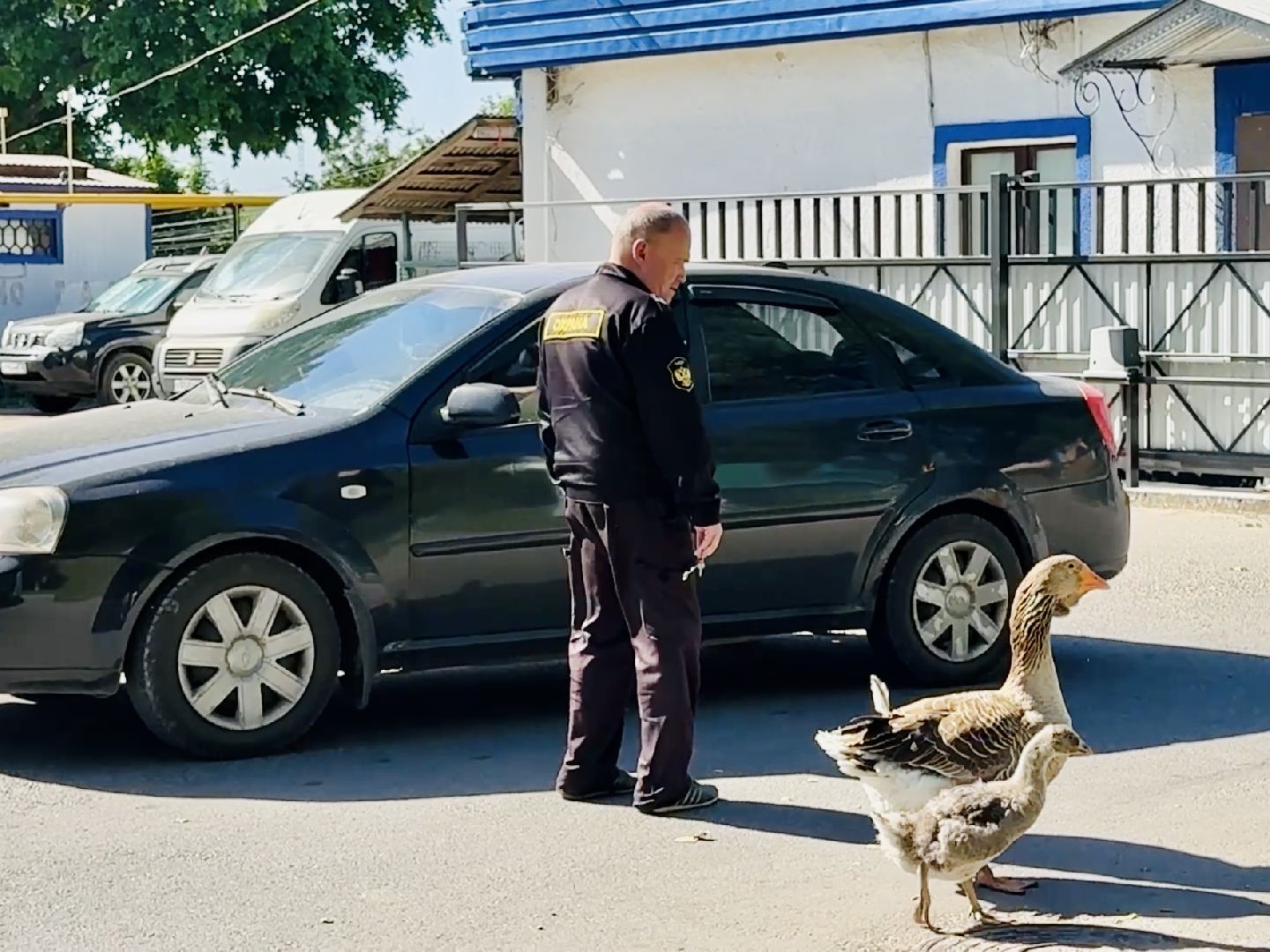 раменское, гжель, зоопарк, туризм,