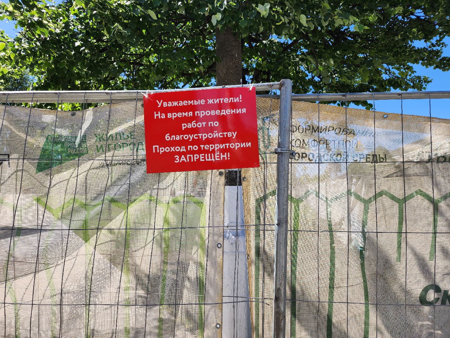 благоустройство,  реконструкция, сквер бугрова, ногинск, богородский городской округ,