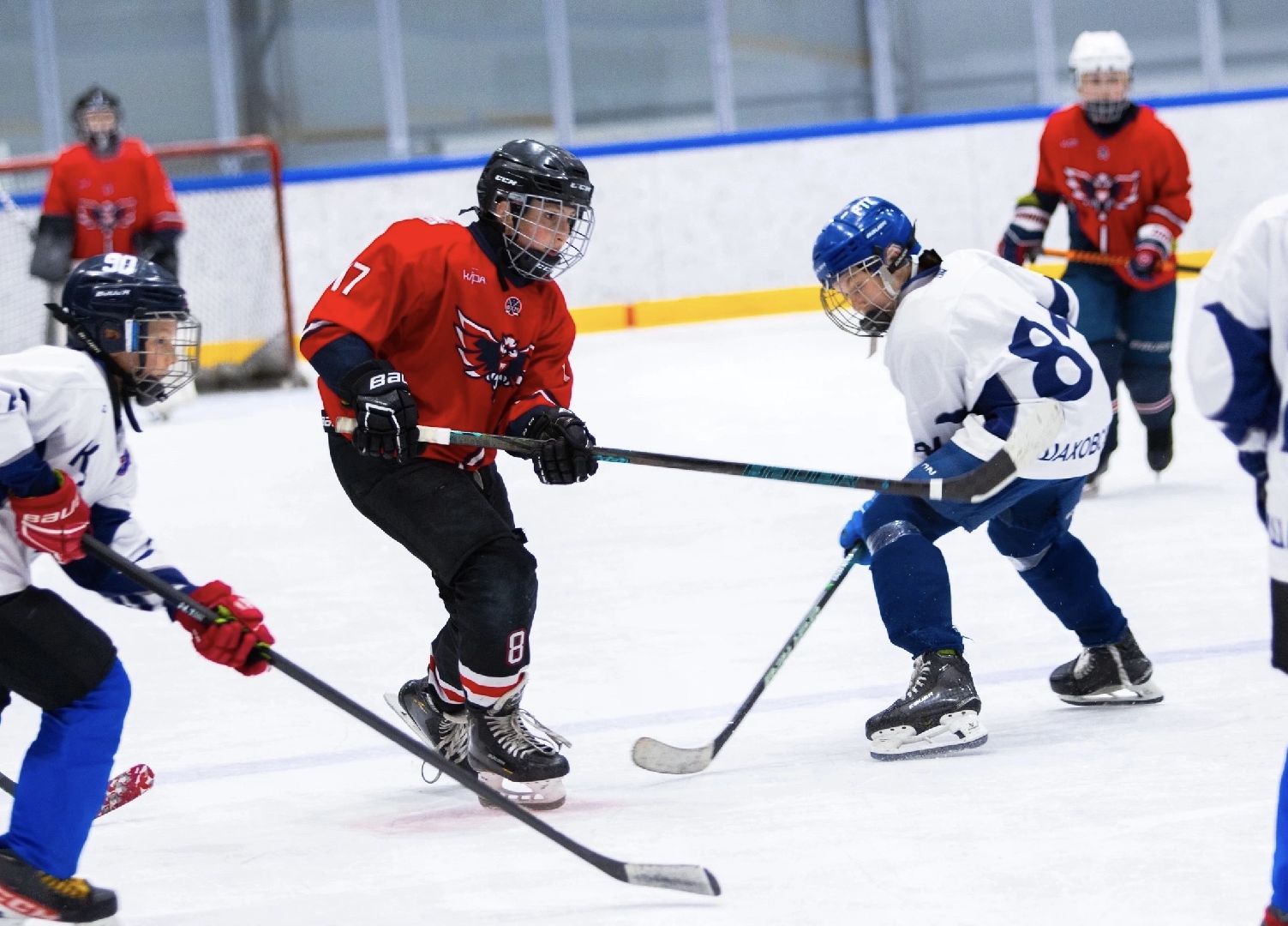 шаховская, турнир, хоккей, турнир по хоккею,