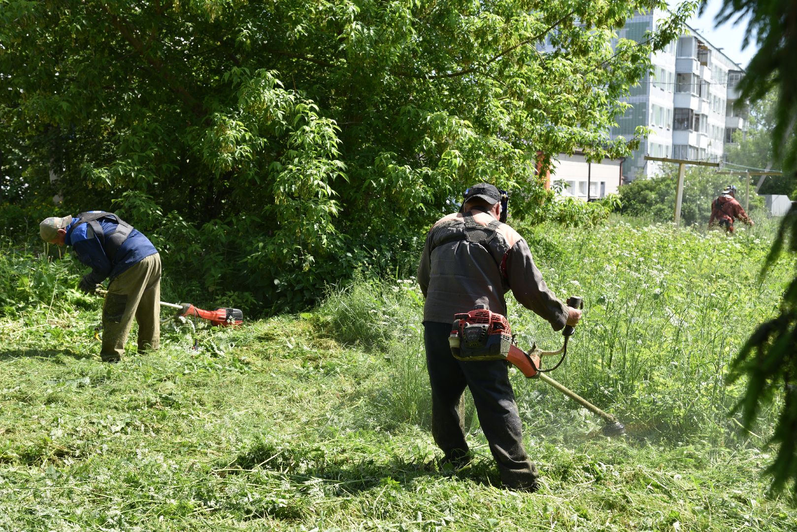 лотошино, благоустройство, добродел,