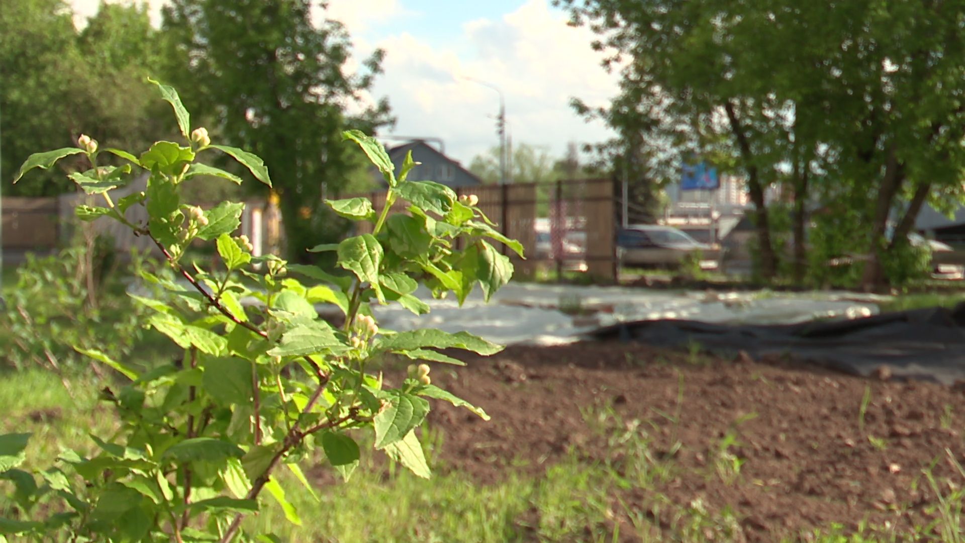 Реутов,благоустройство, Транспортная улица,жители просят,