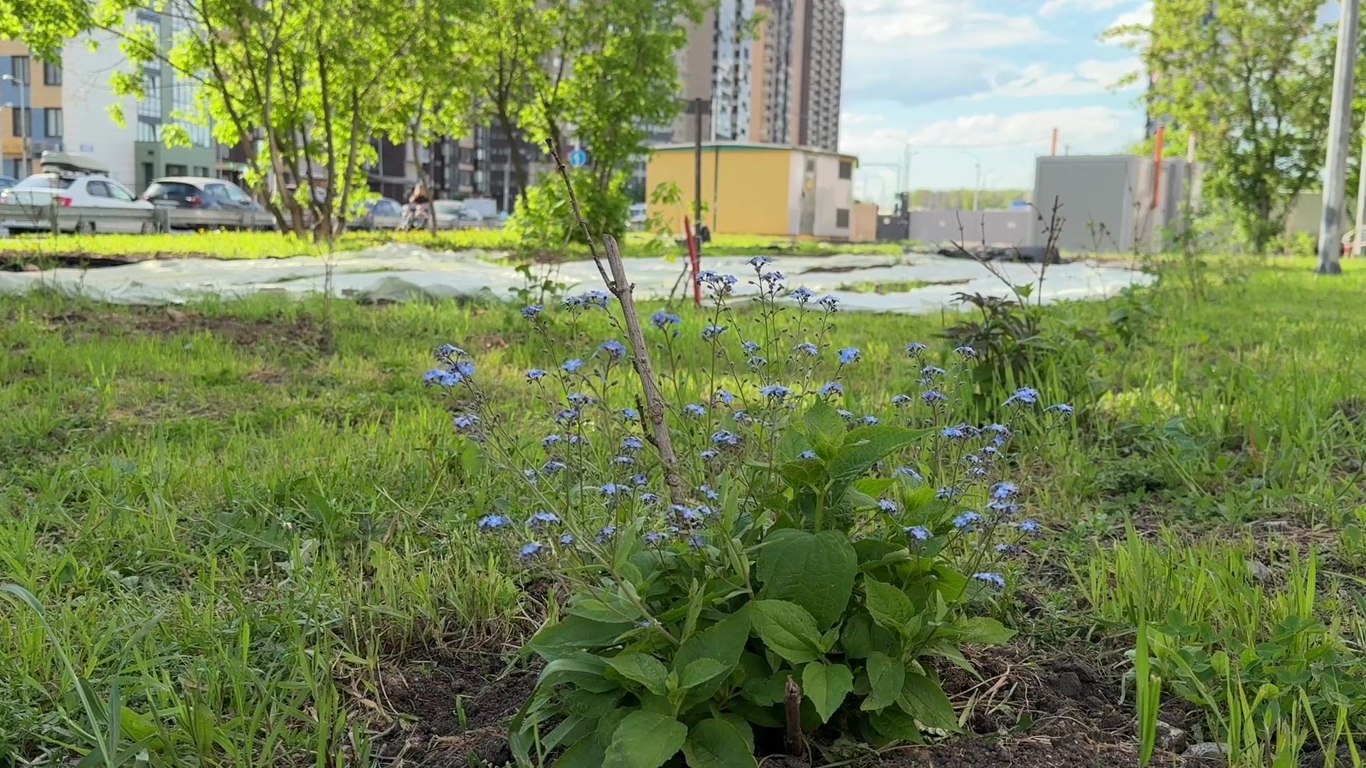 Реутов,благоустройство, Транспортная улица,жители просят,