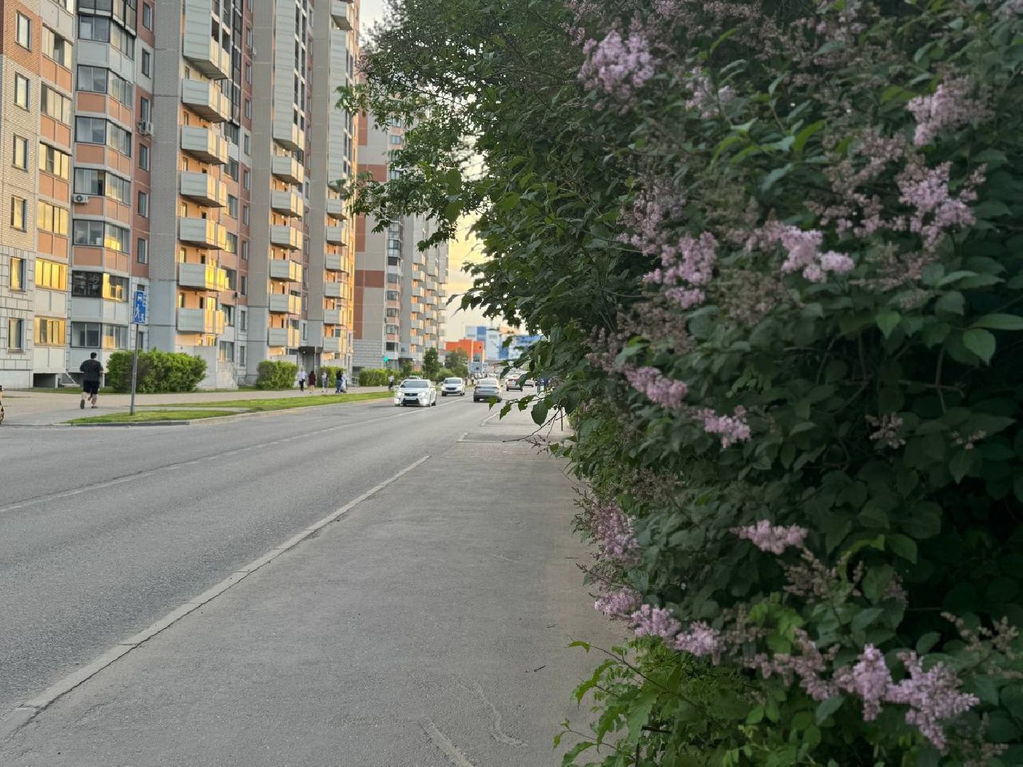 капитальный  ремонт, дороги, микрорайон ольгино,