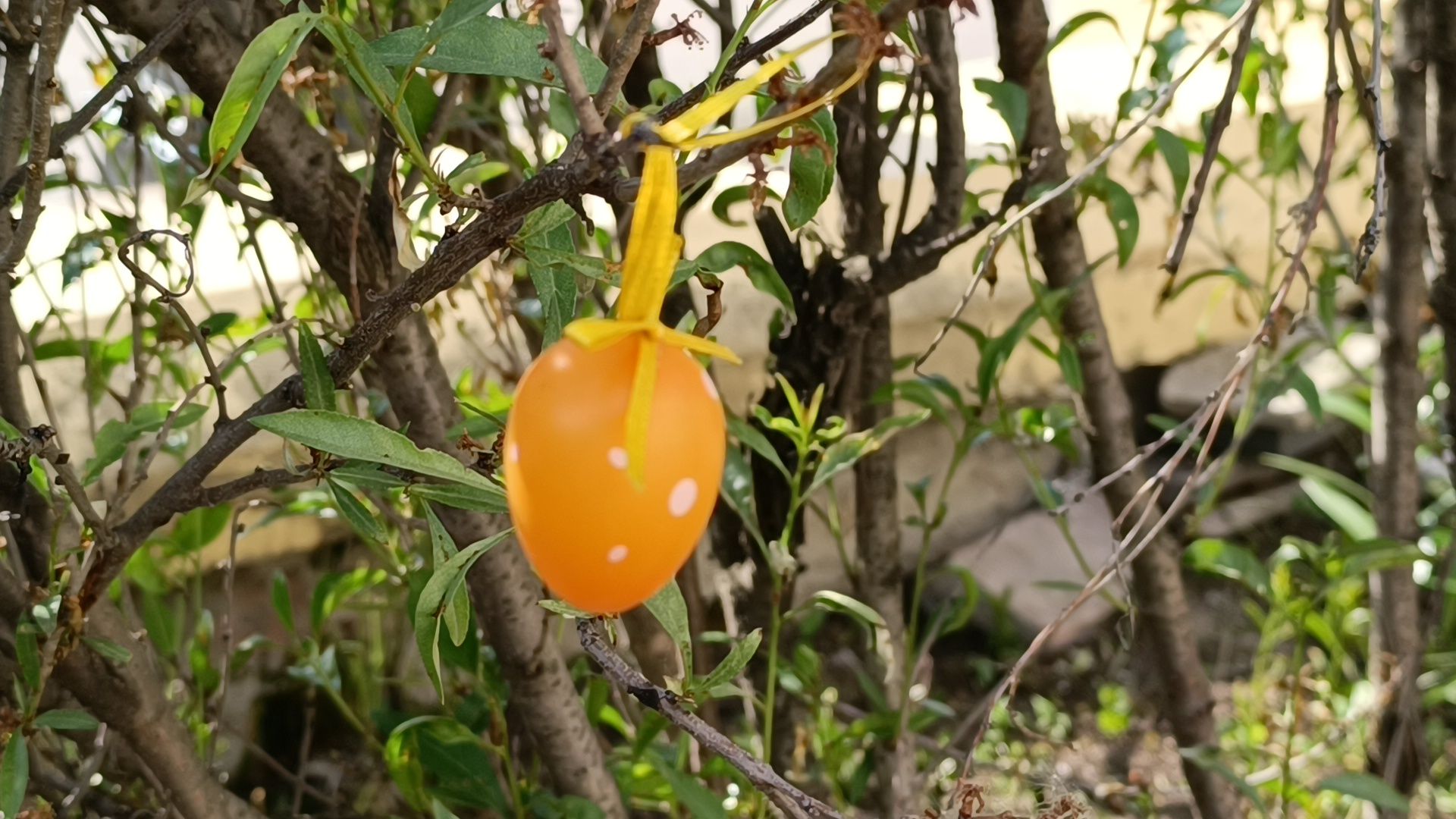 детский сад , лобня, хор,