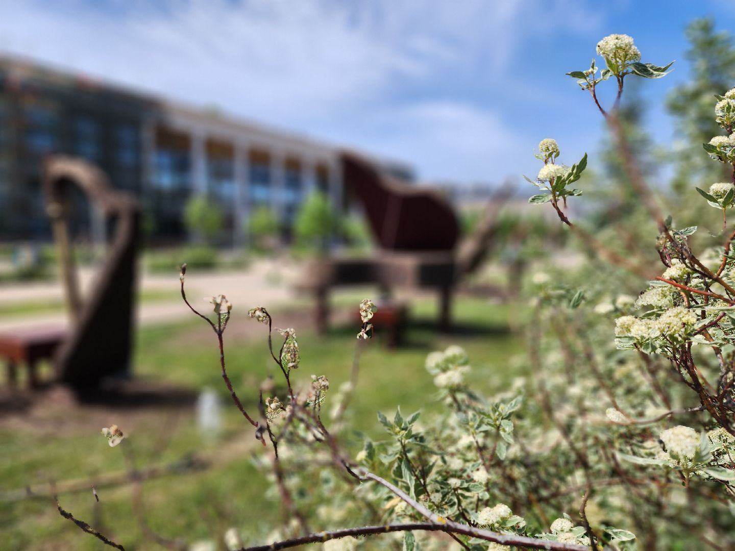 королёв, благоустройство , горзеленхозстрой,