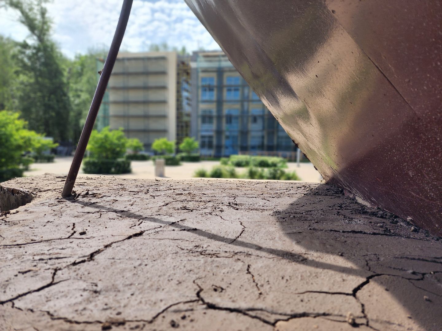 королёв, благоустройство , горзеленхозстрой,