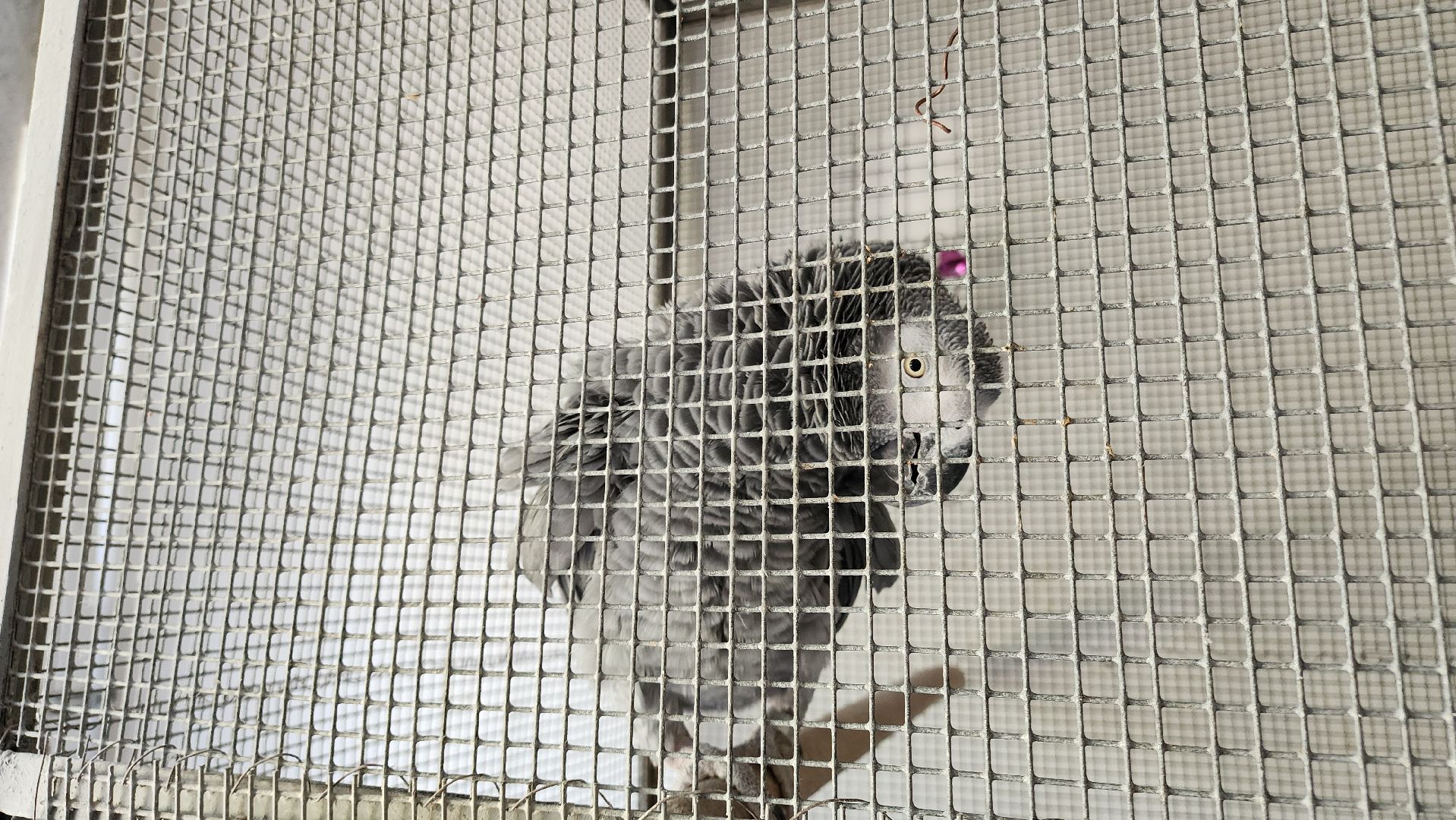 кашира, образование, кружки, секции, запись в секцию, допобразование,