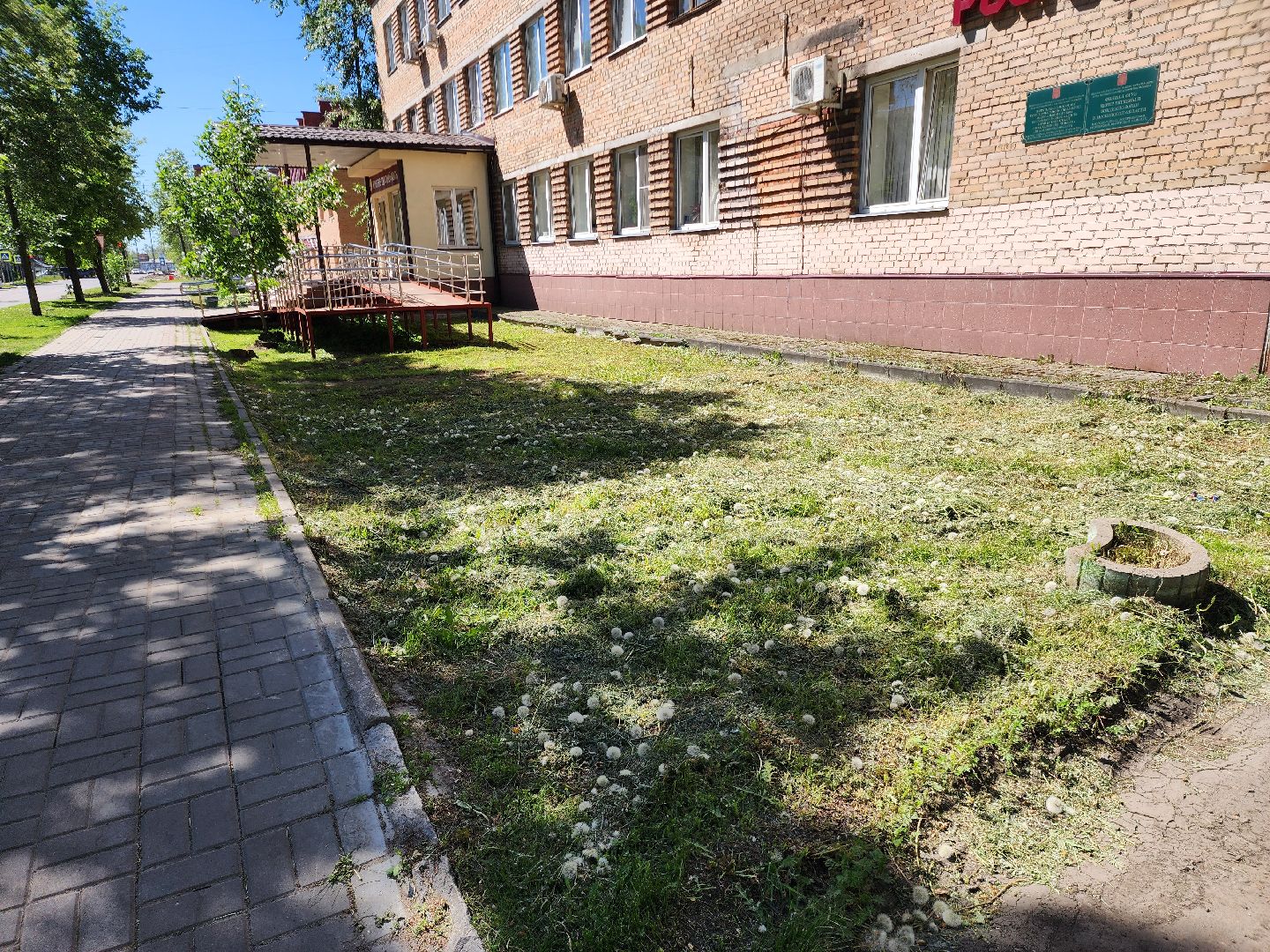 благоустройство, шатурский округ, окос травы,