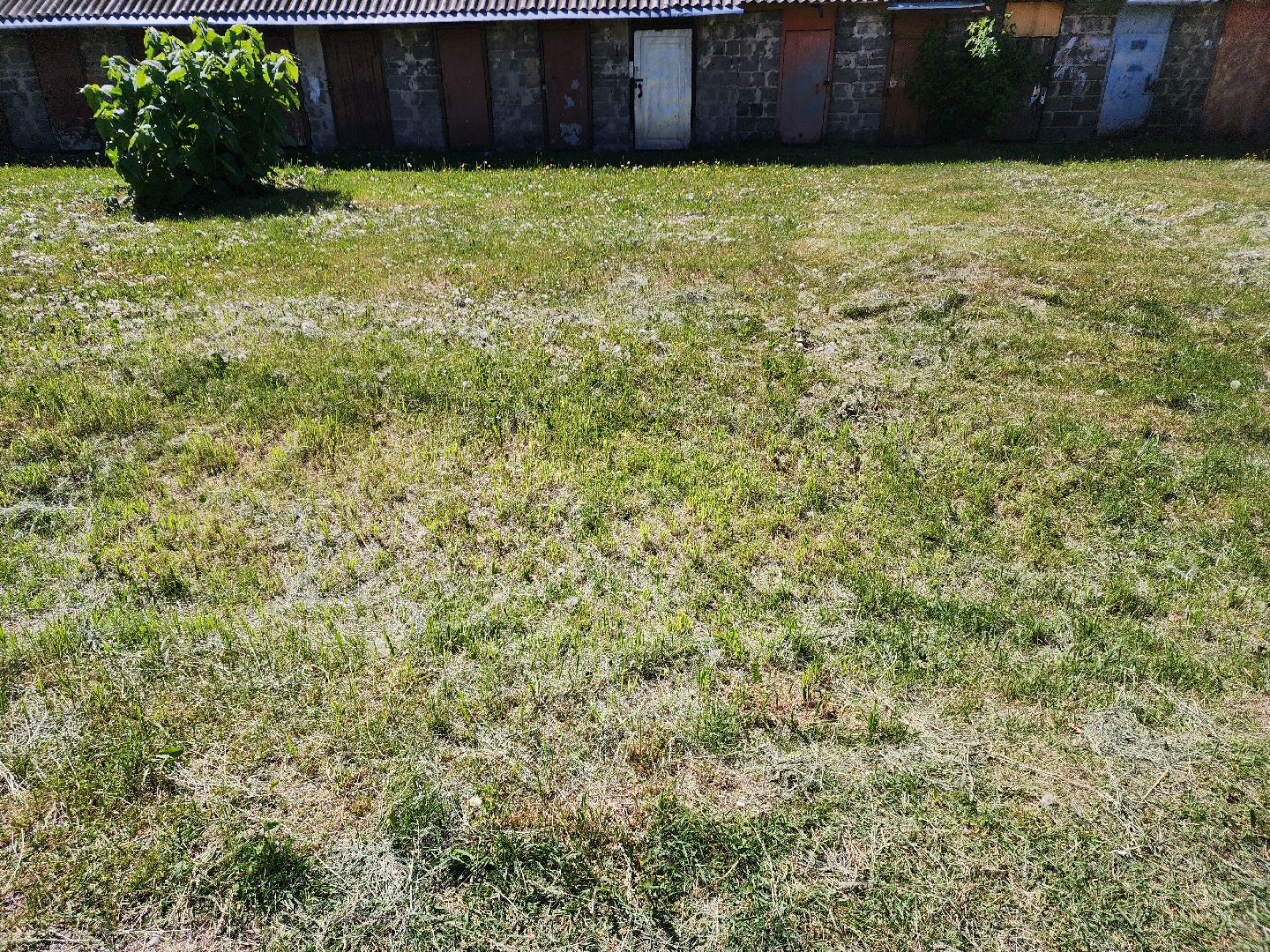 благоустройство, шатурский округ, окос травы,