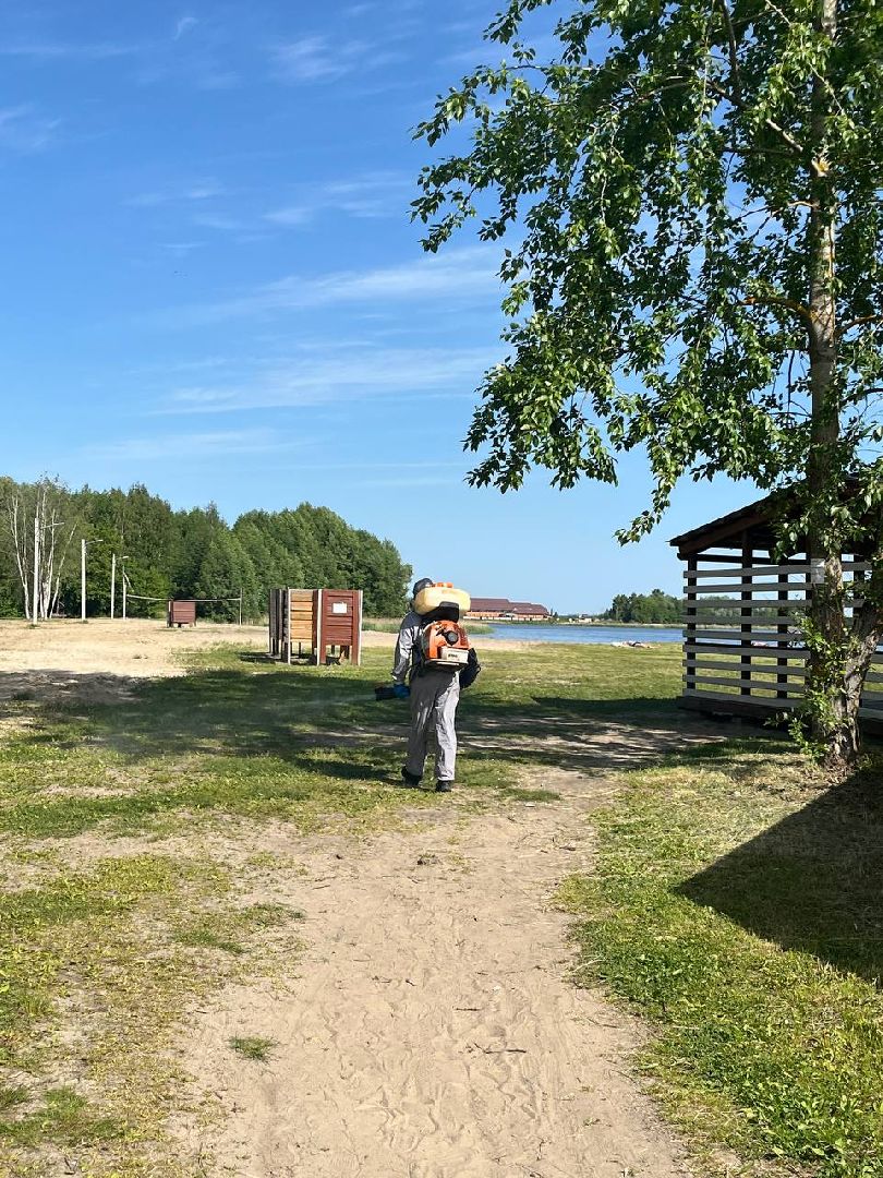 благоустройство, шатурский округ, окос травы,