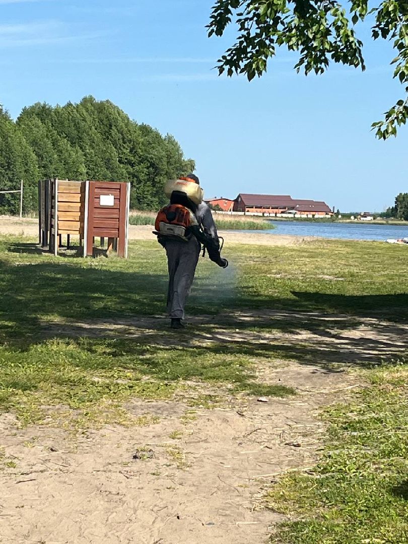 благоустройство, шатурский округ, окос травы,