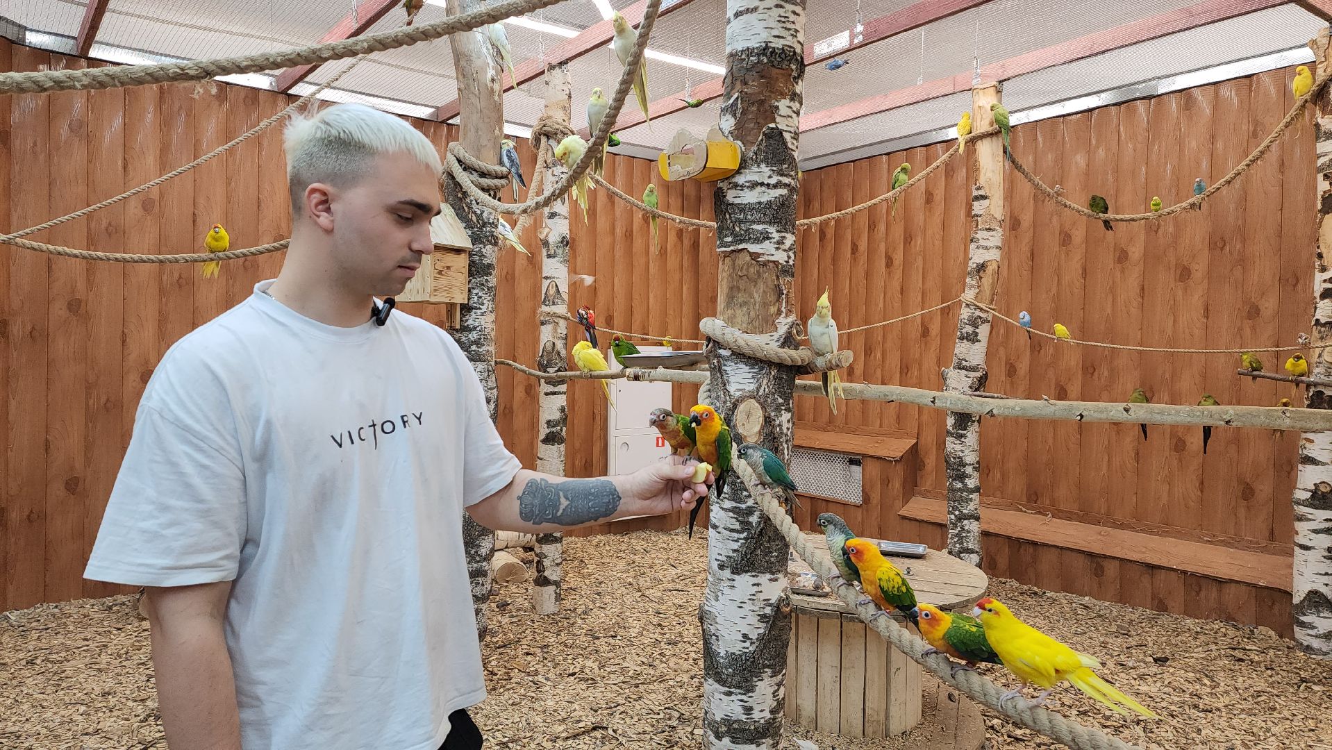 красногорск, контактный зоопарк,