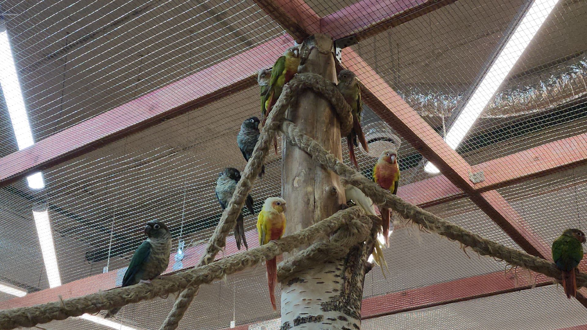 красногорск, контактный зоопарк,