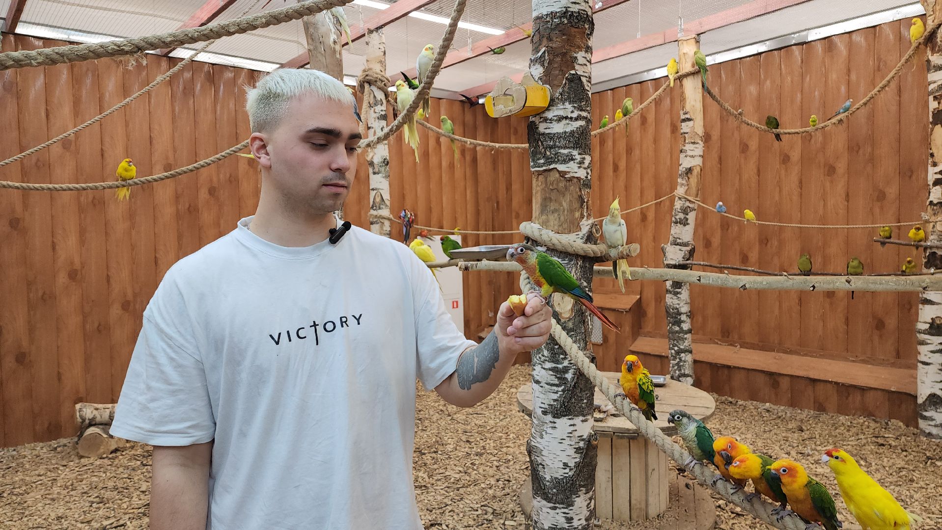 красногорск, контактный зоопарк,