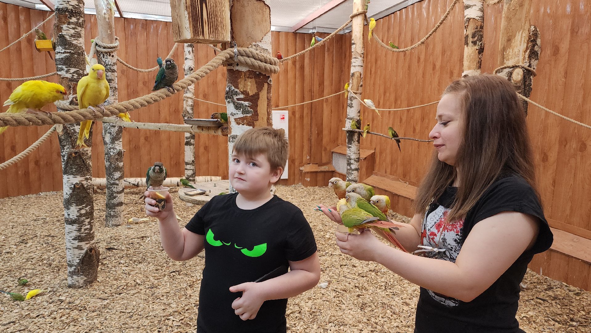 красногорск, контактный зоопарк,