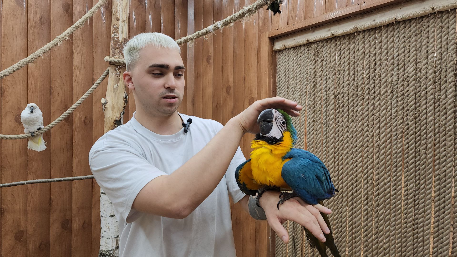 красногорск, контактный зоопарк,