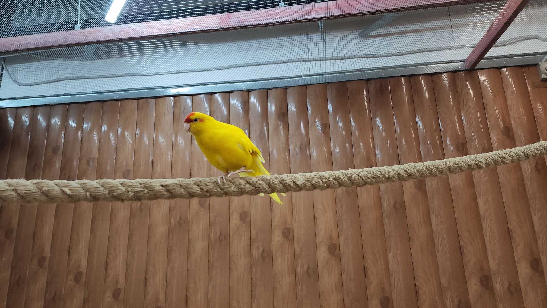 красногорск, контактный зоопарк,