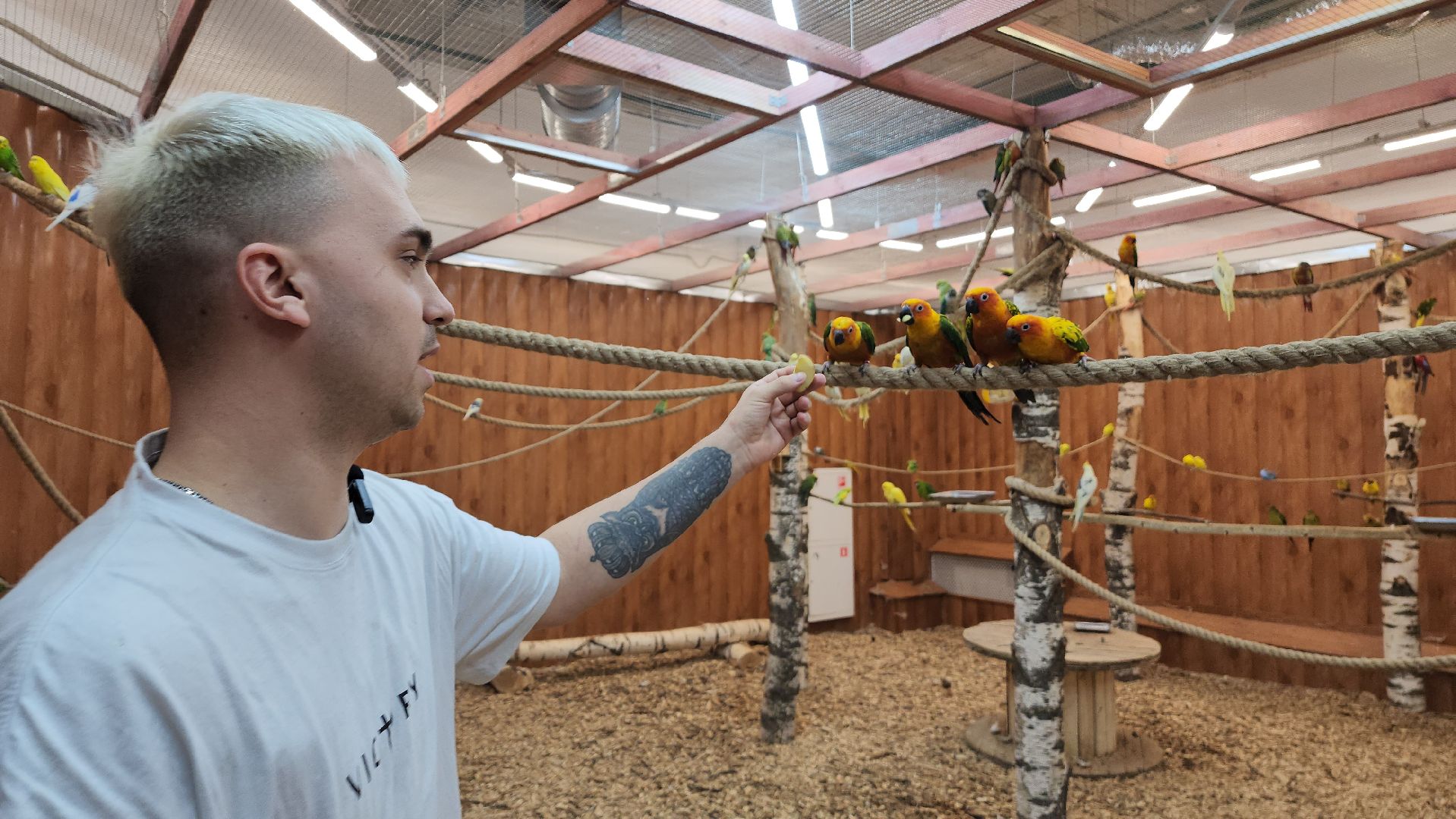 красногорск, контактный зоопарк,