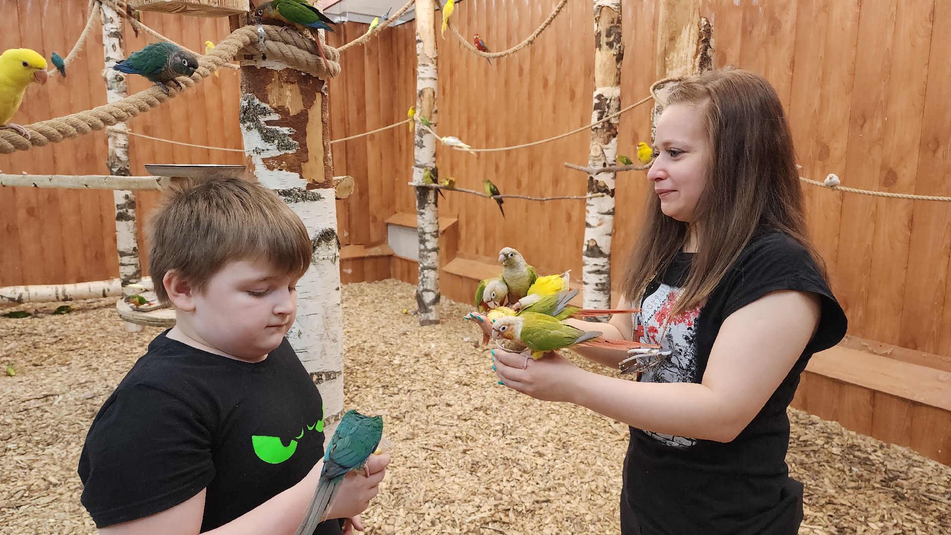 красногорск, контактный зоопарк,