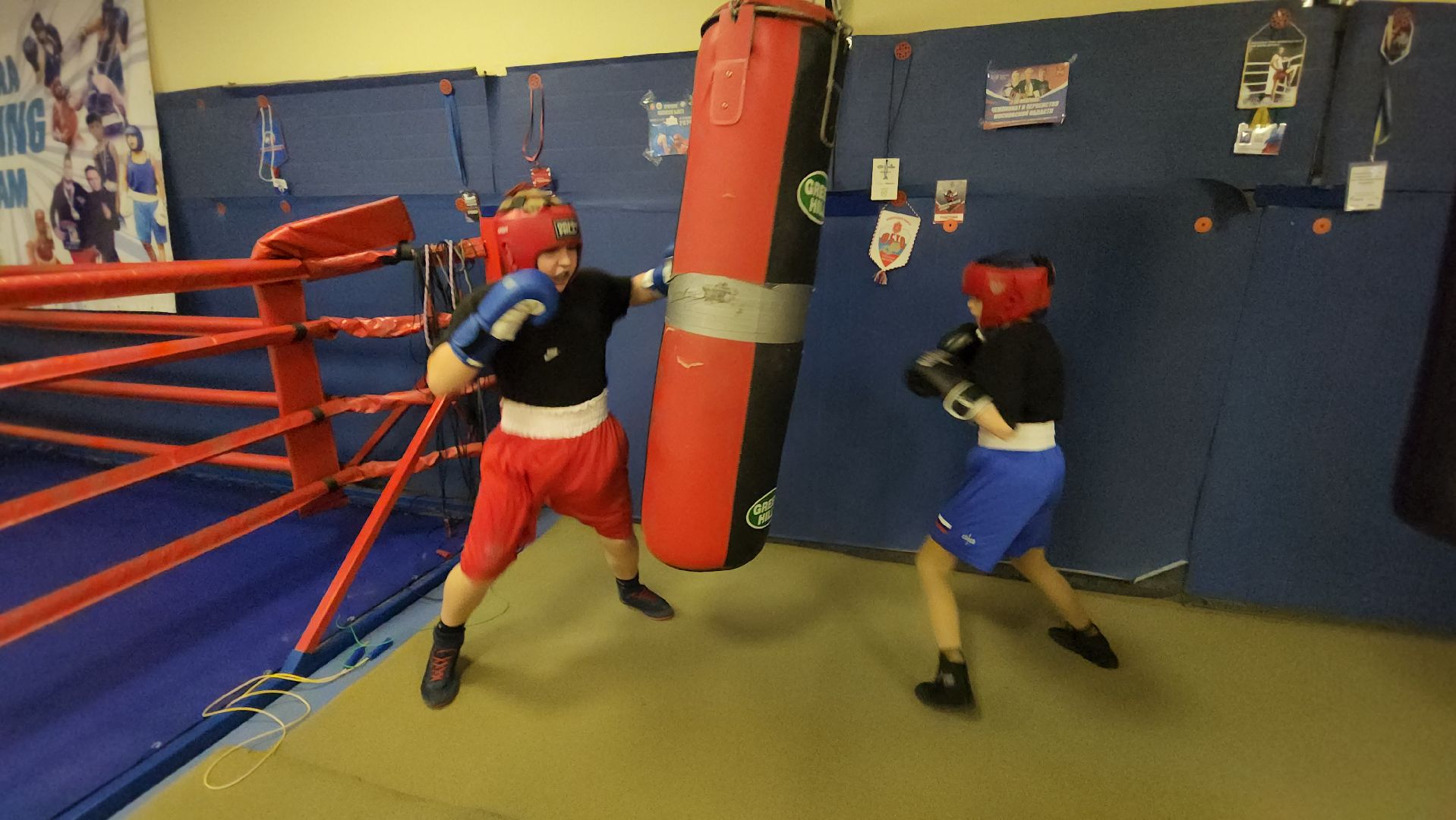 истра, спорт , бокс, тренер,