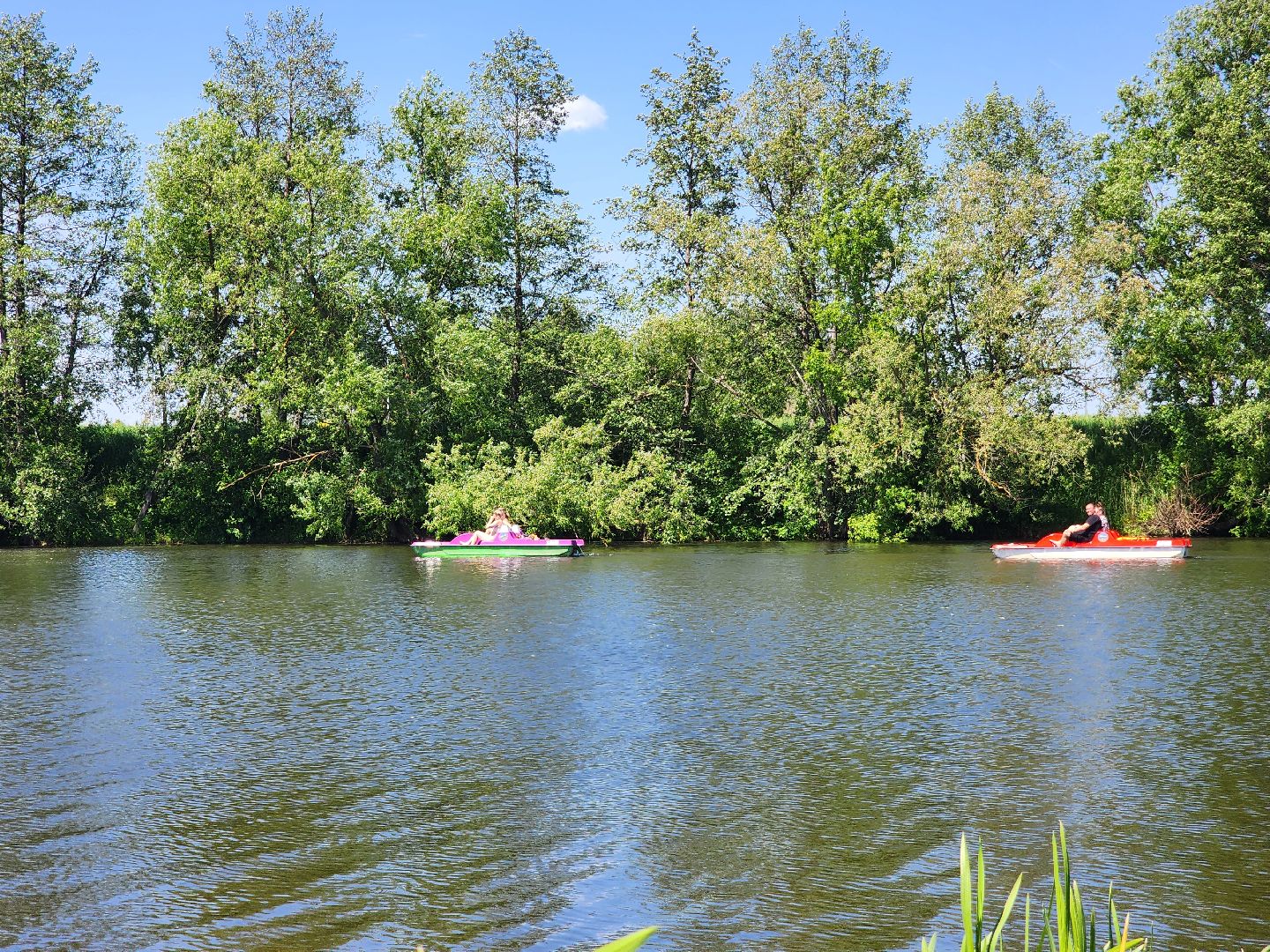 Зарайск, Лето, Пляж, Купальный сезон,