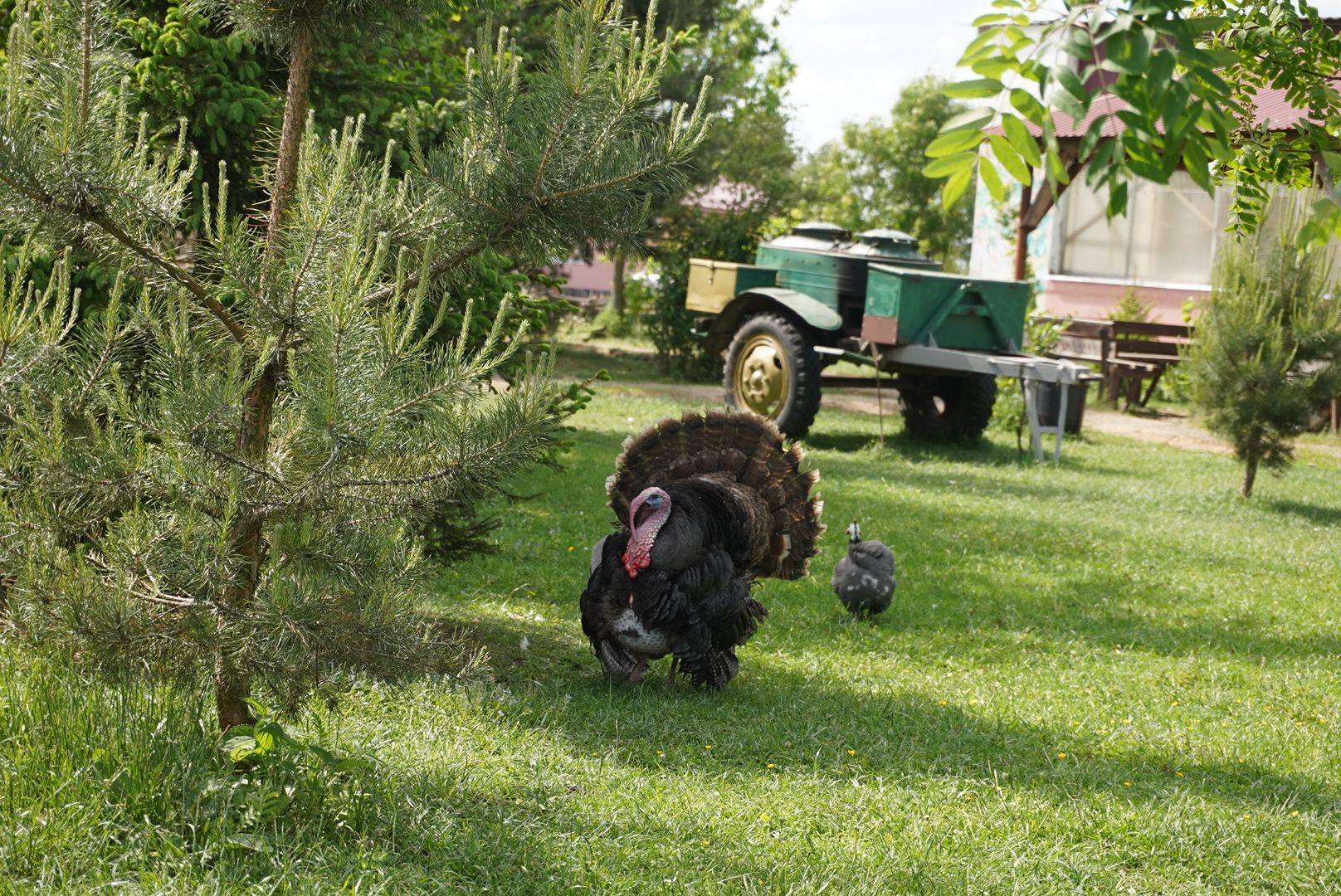 павловский посад, кантри парк, туризм,