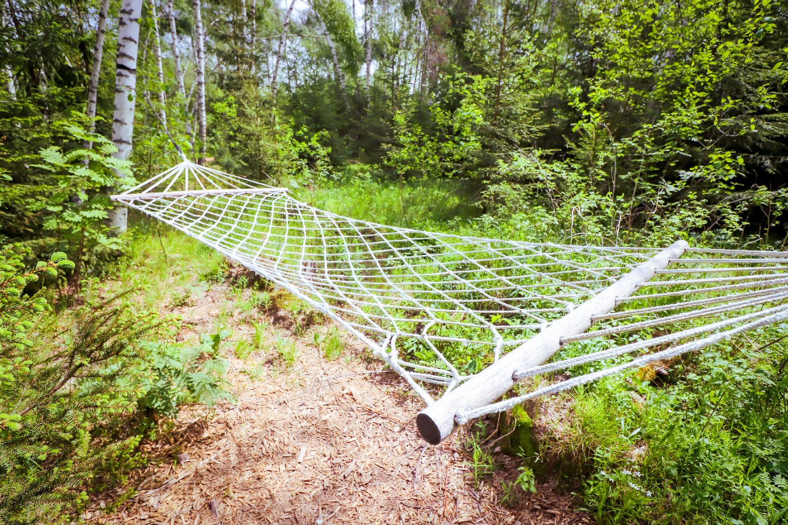 клин, общество, туризм, лето в подмосковье, отдых,