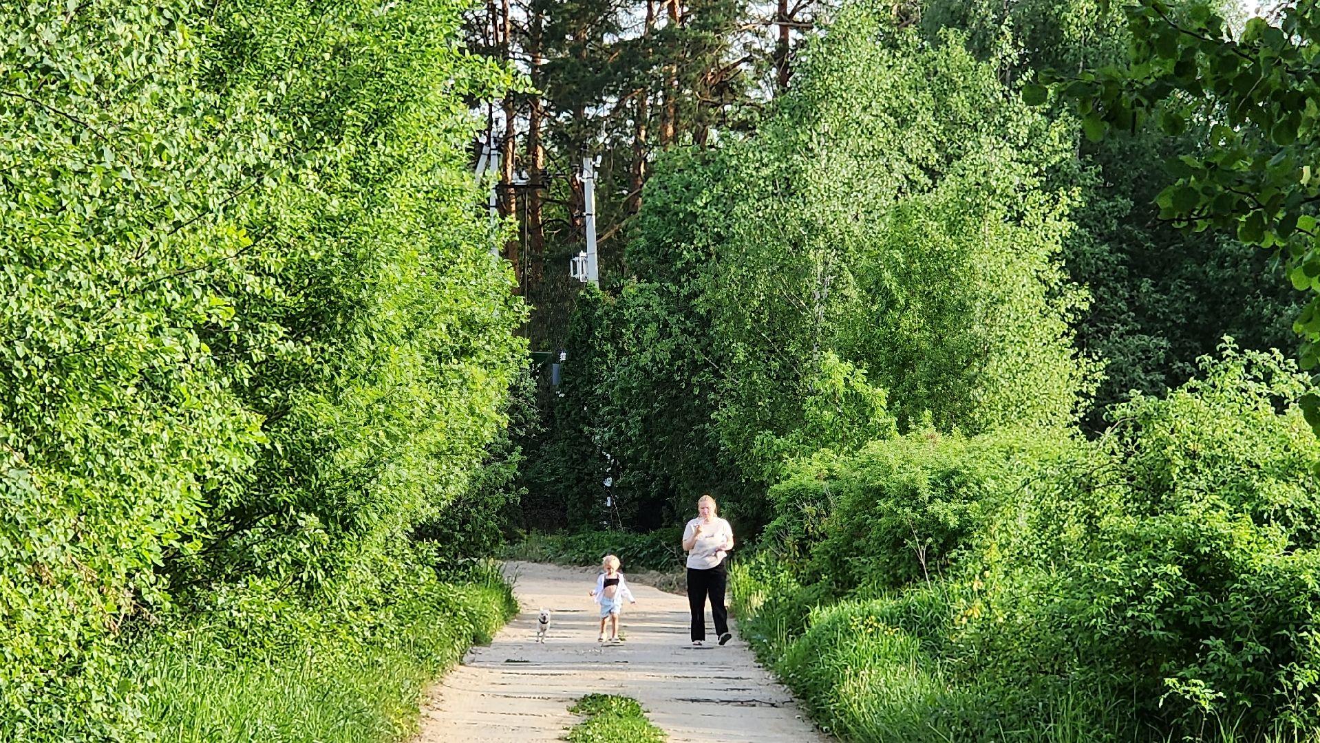 выездная администрация,
