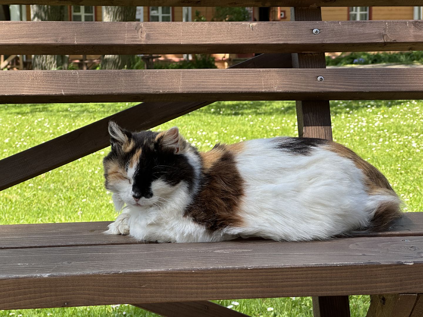 выходные в мураново, мураново, усадьба мураново, пушкинский городской округ,