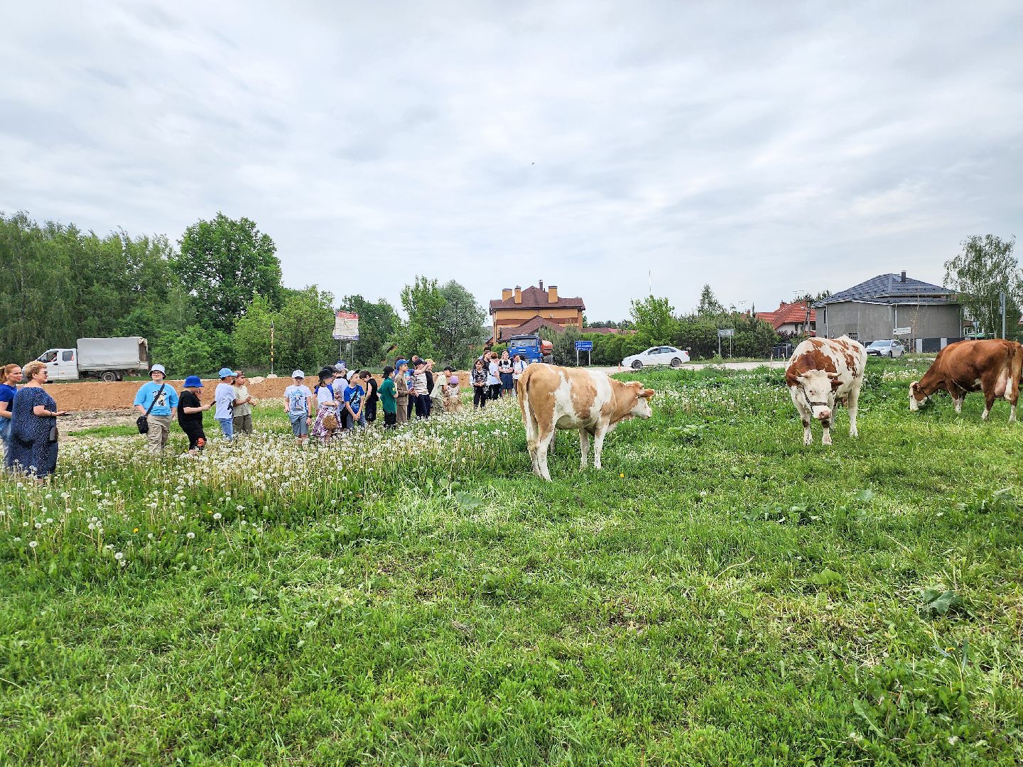 Подольск, Федеральный исследовательский центр животноводства, Уникальные породы, коровы, Школьные пятницы,