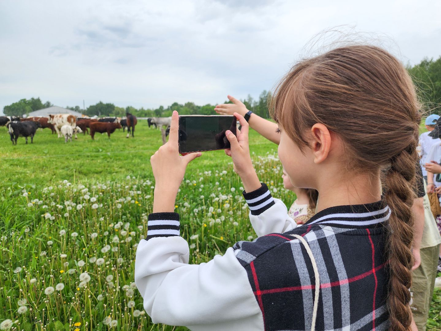 Подольск, Федеральный исследовательский центр животноводства, Уникальные породы, коровы, Школьные пятницы,