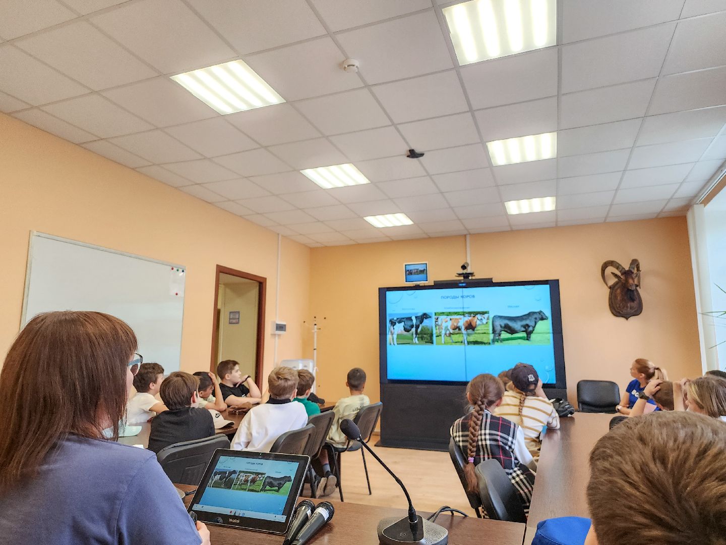 Подольск, Федеральный исследовательский центр животноводства, Уникальные породы, коровы, Школьные пятницы,