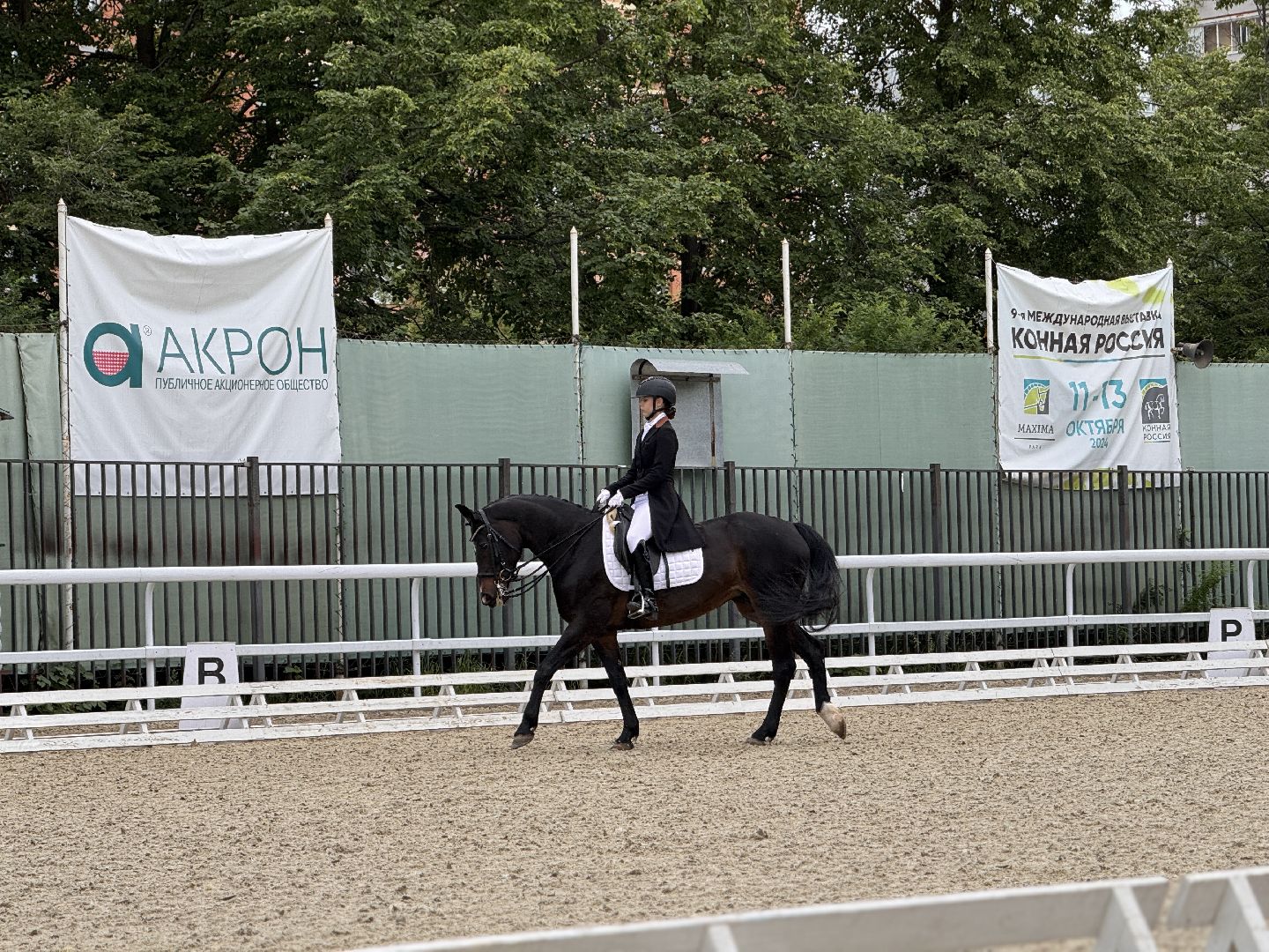 Турнир памяти, Турнир по выездке, московский конный завод 1,