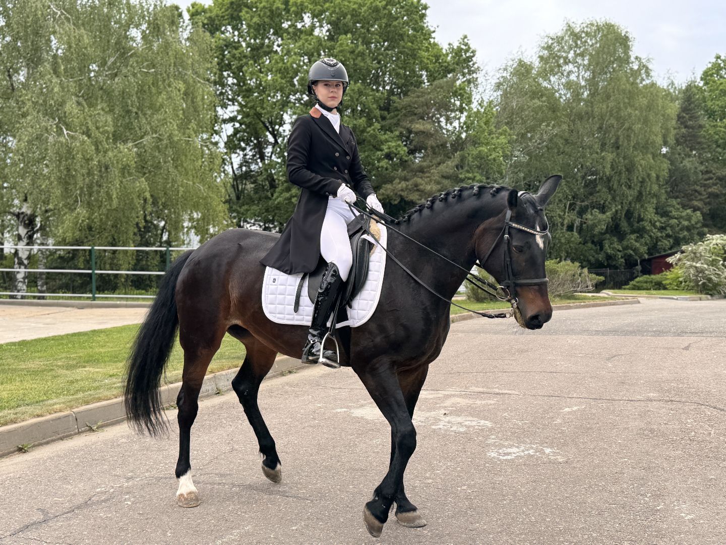 Турнир памяти, Турнир по выездке, московский конный завод 1,